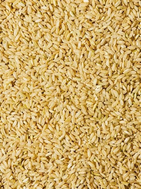 tidewater rice pic.jpg (Copy)