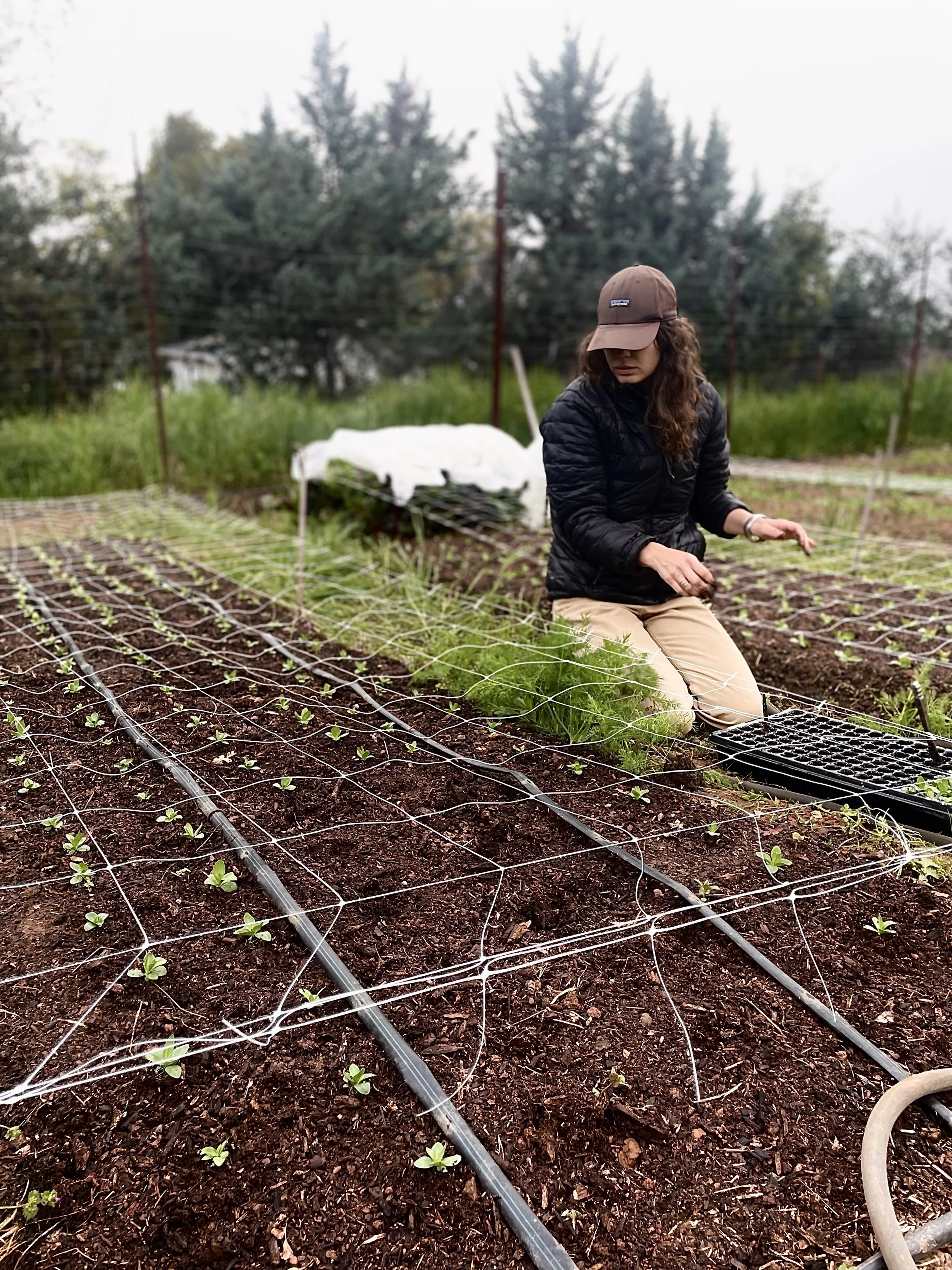 A woman in a brown cap and black jacket kneels in a vegetable garden, tending young plants behind a trellis system, with a background of trees and cloudy sky.