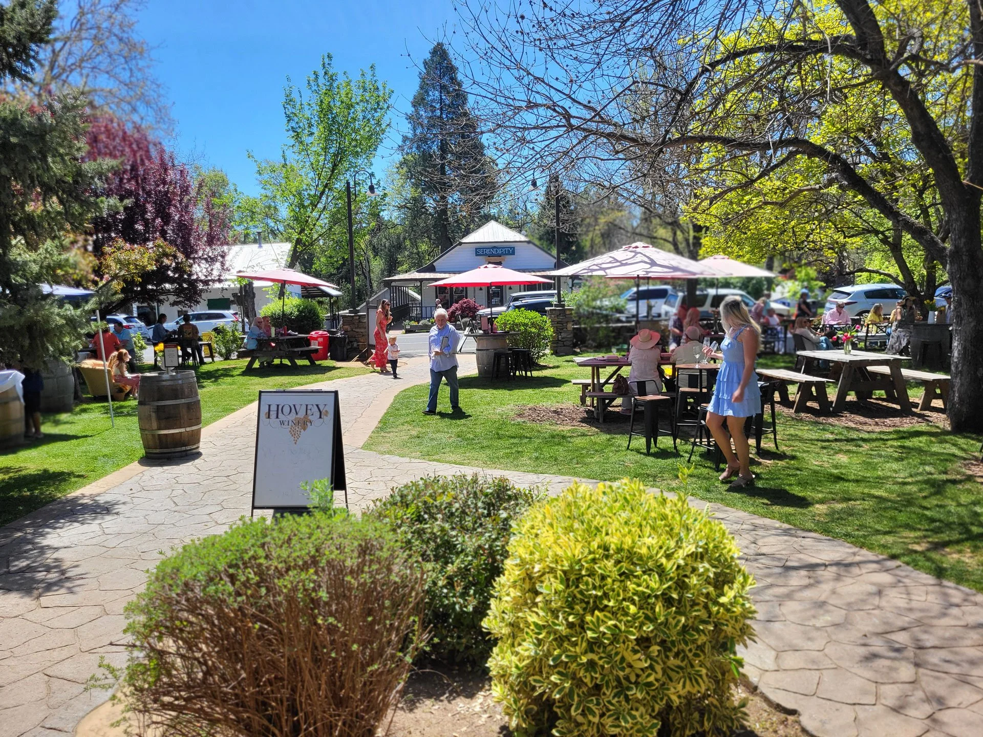 Outdoor scene at Honey winery with people sitting at picnic tables under umbrellas, walking along stone pathways, and enjoying the sunny day among trees and greenery.