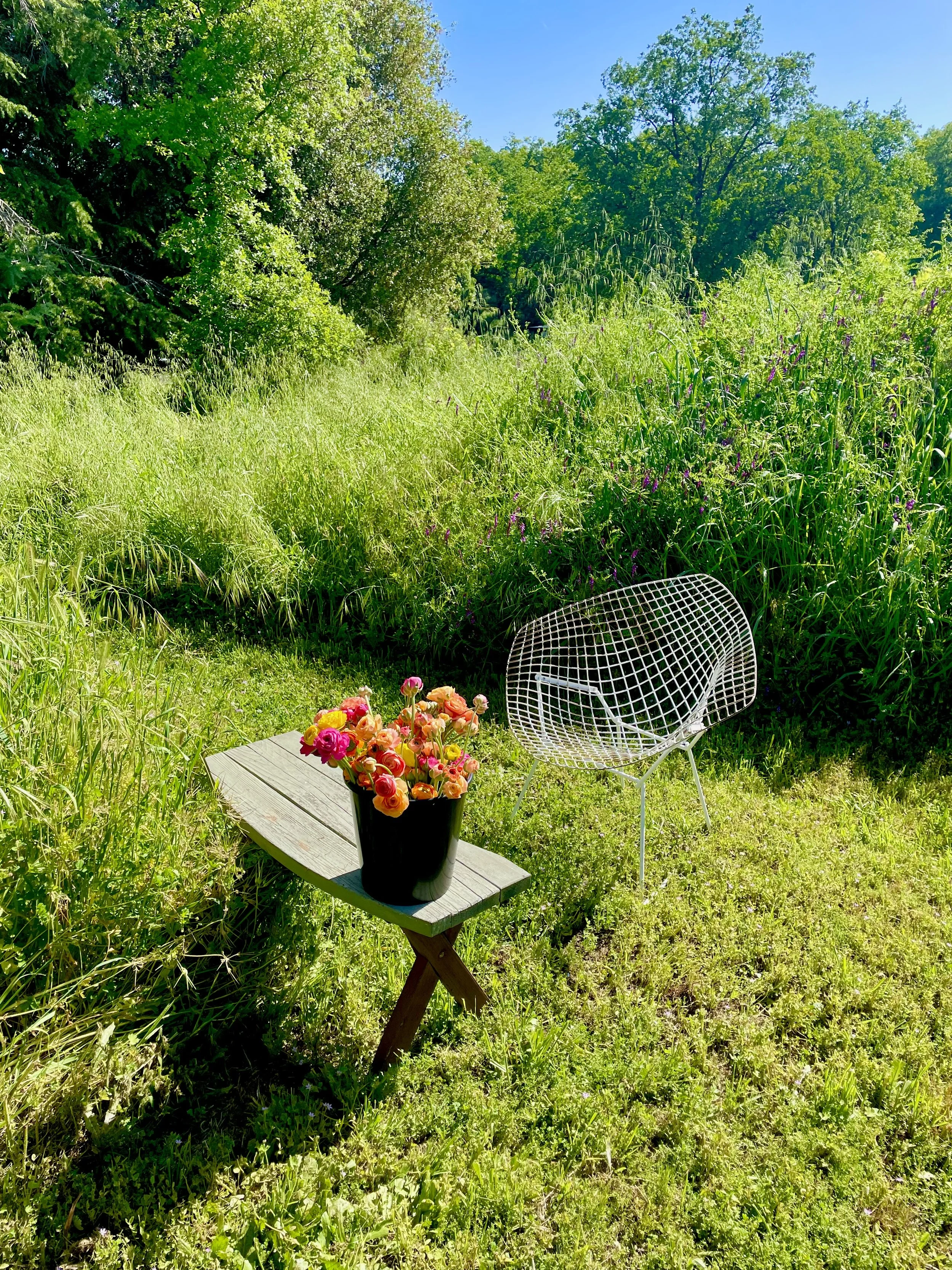 A lush green outdoor scene with a small wooden picnic table holding a black pot filled with pink and orange flowers, and a white wire chair on a grassy area surrounded by tall grass and trees under a clear blue sky.