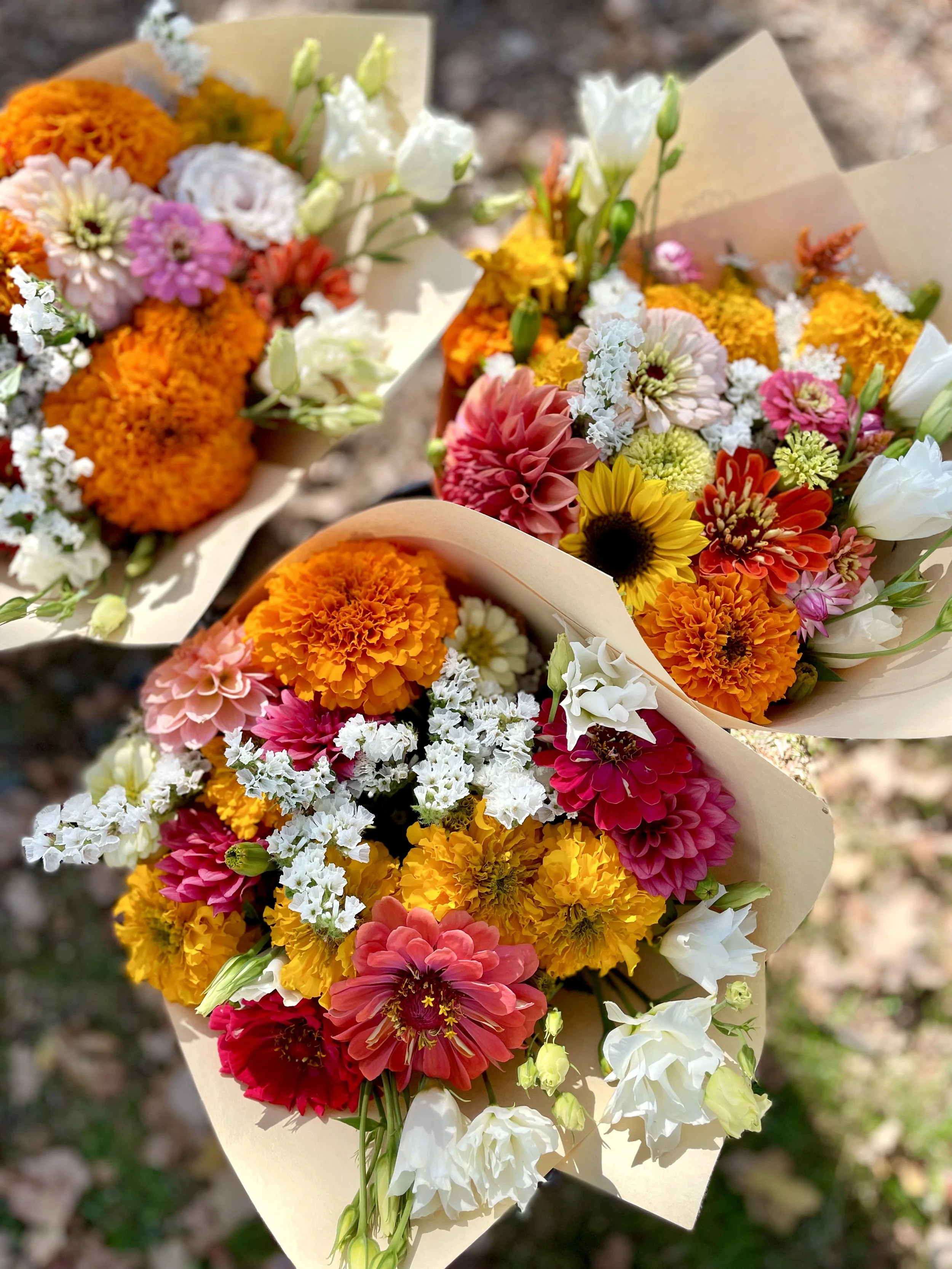 Three colorful flower bouquets wrapped in beige paper, placed outdoors on a ground with scattered leaves.