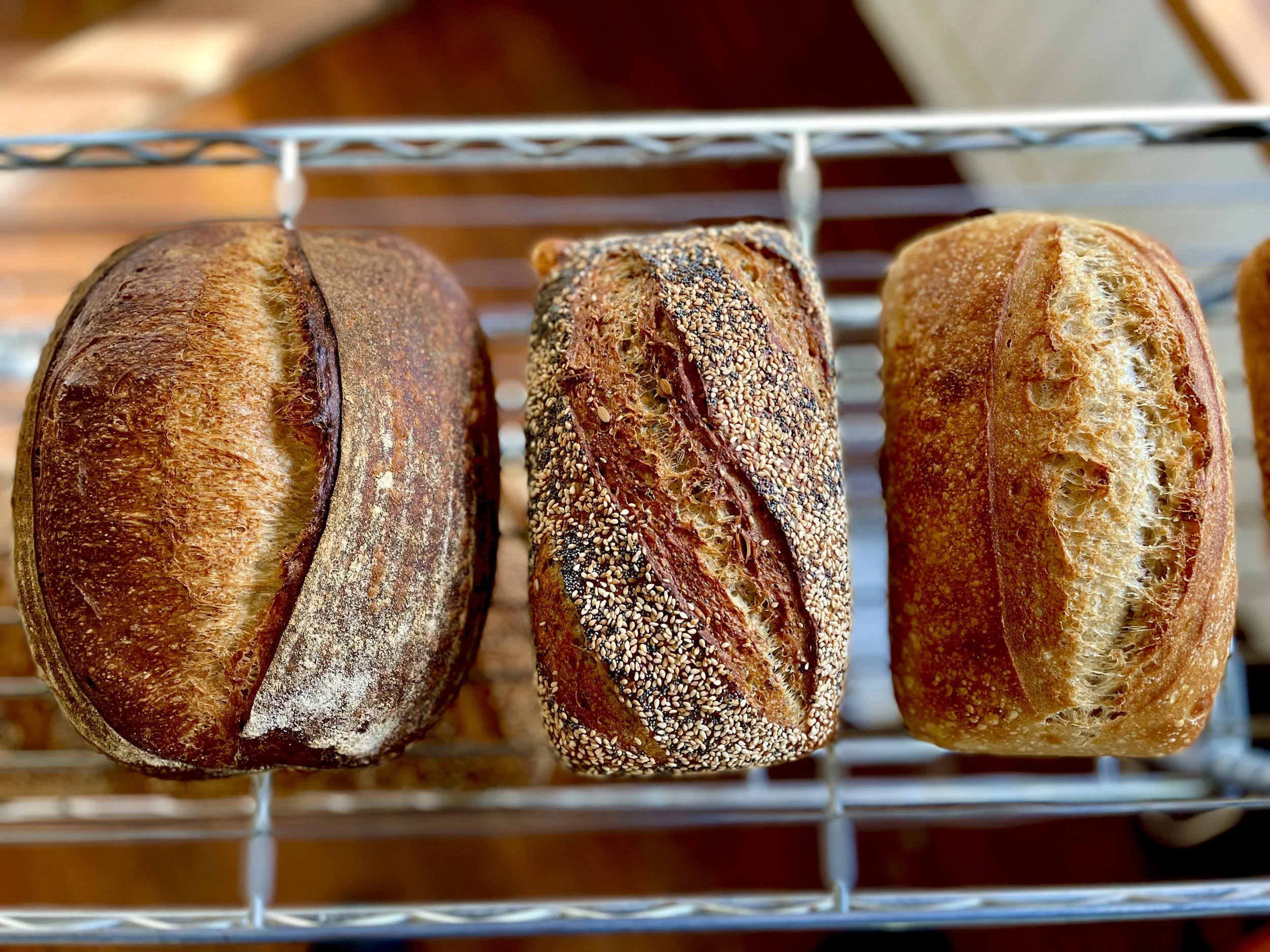 Three loaves of bread on a cooling rack, from left to right: a round loaf with a flour-dusted crust, an oval loaf covered with sesame seeds, and another oval loaf with a golden crust.