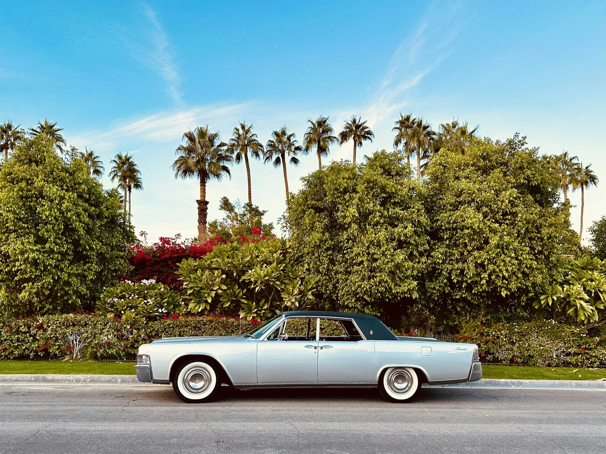 A vintage light blue Cadillac parked on the side of a street with lush green trees and colorful flowering bushes in the background, under a clear blue sky.