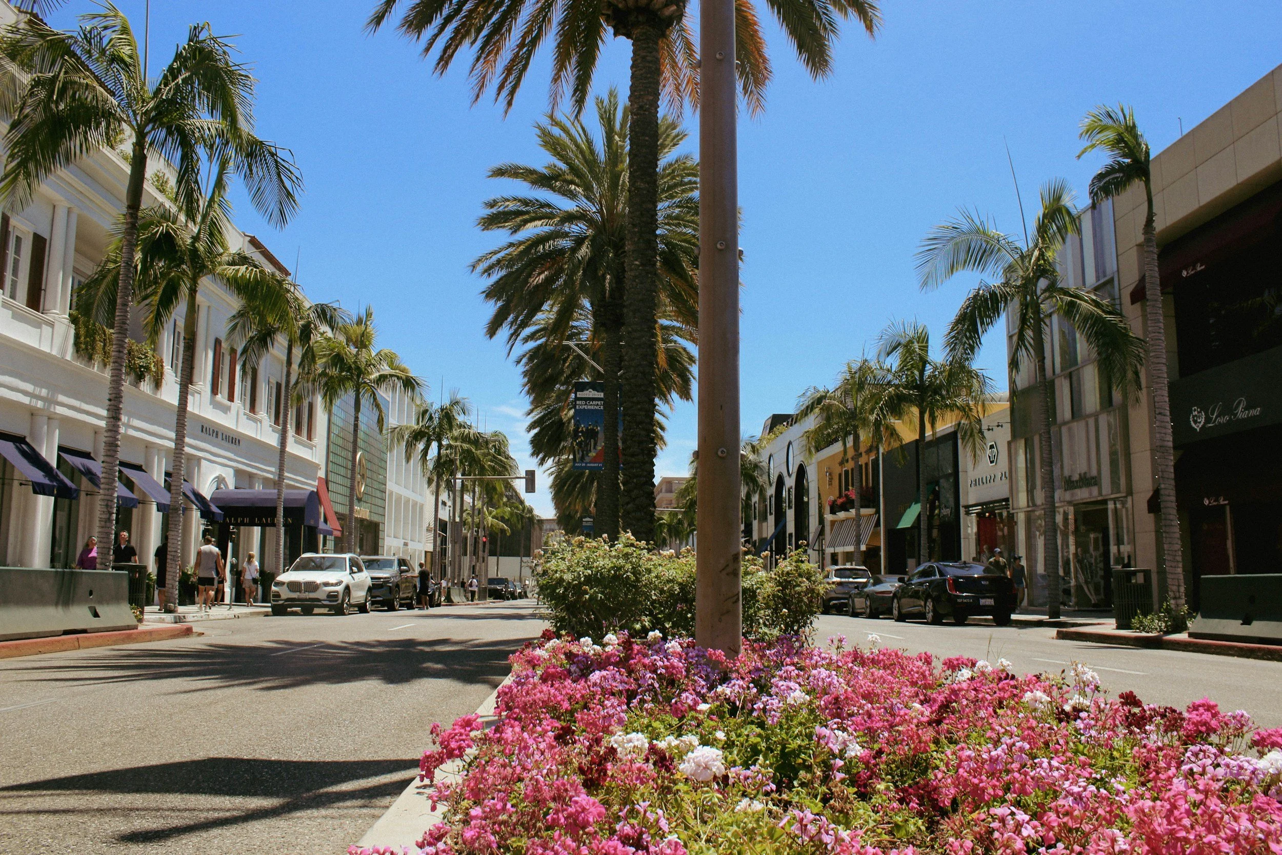 A sunny street scene with palm trees lining the sidewalk, shops and stores on either side, a flower bed with pink flowers in the foreground, and people walking along the street under a clear blue sky.