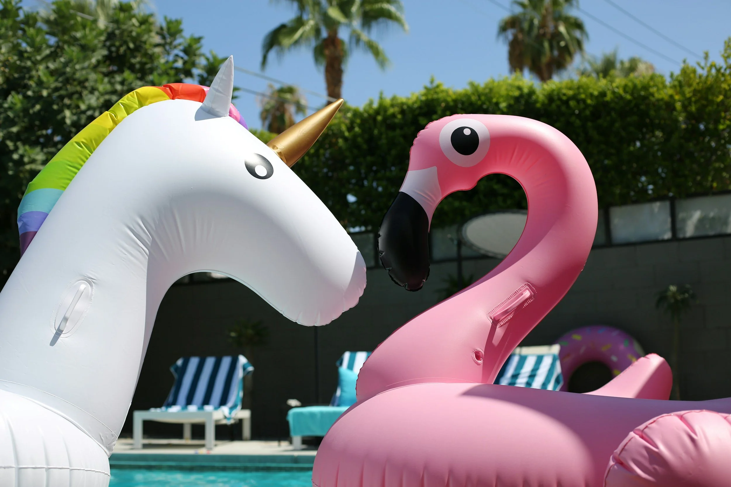 Inflatable pool floats, including a white unicorn with a rainbow mane and a golden horn, and a pink flamingo, floating in a swimming pool outdoors with palm trees and blue sky in the background.