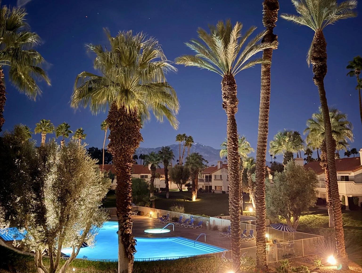 Nighttime view of a resort with a swimming pool, surrounded by tall palm trees and cozy houses, mountain in the background, under a starry sky.