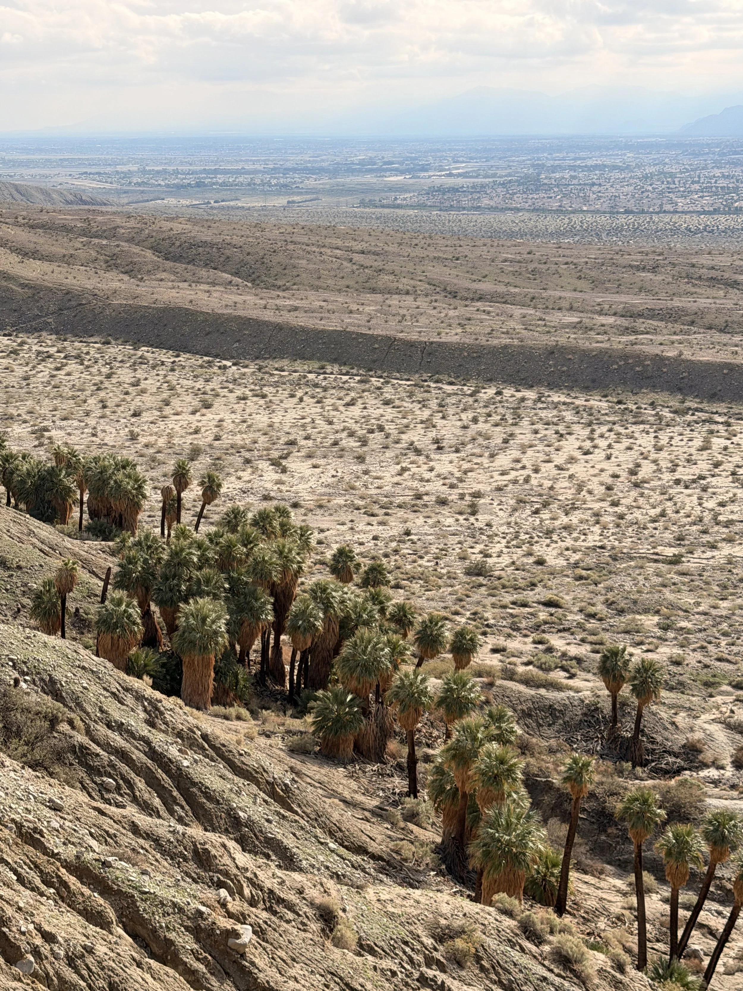 Hiking in Palm Desert