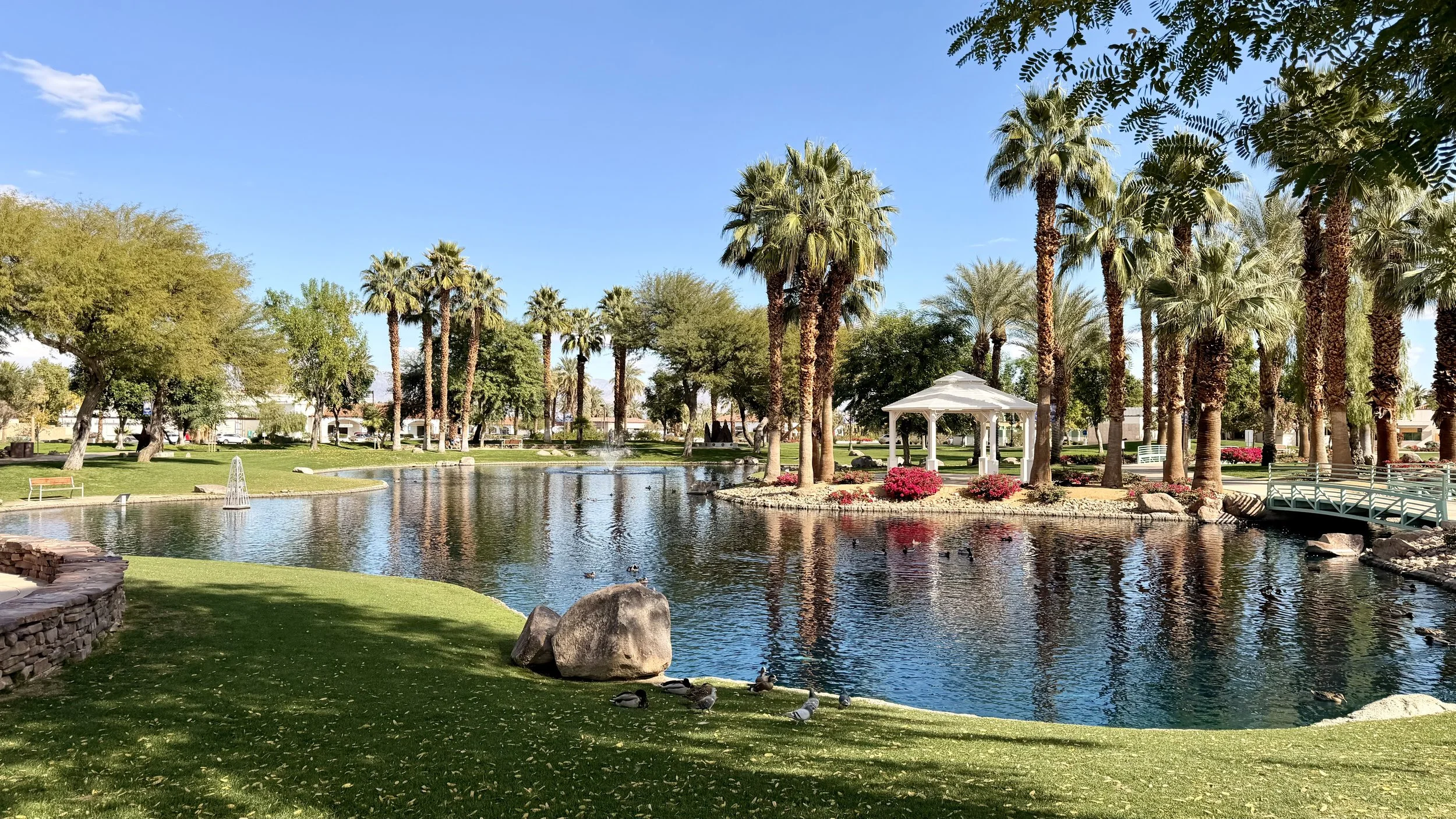 A park with a pond, palm trees, green grass, a white gazebo, and pink flowers under a clear blue sky.