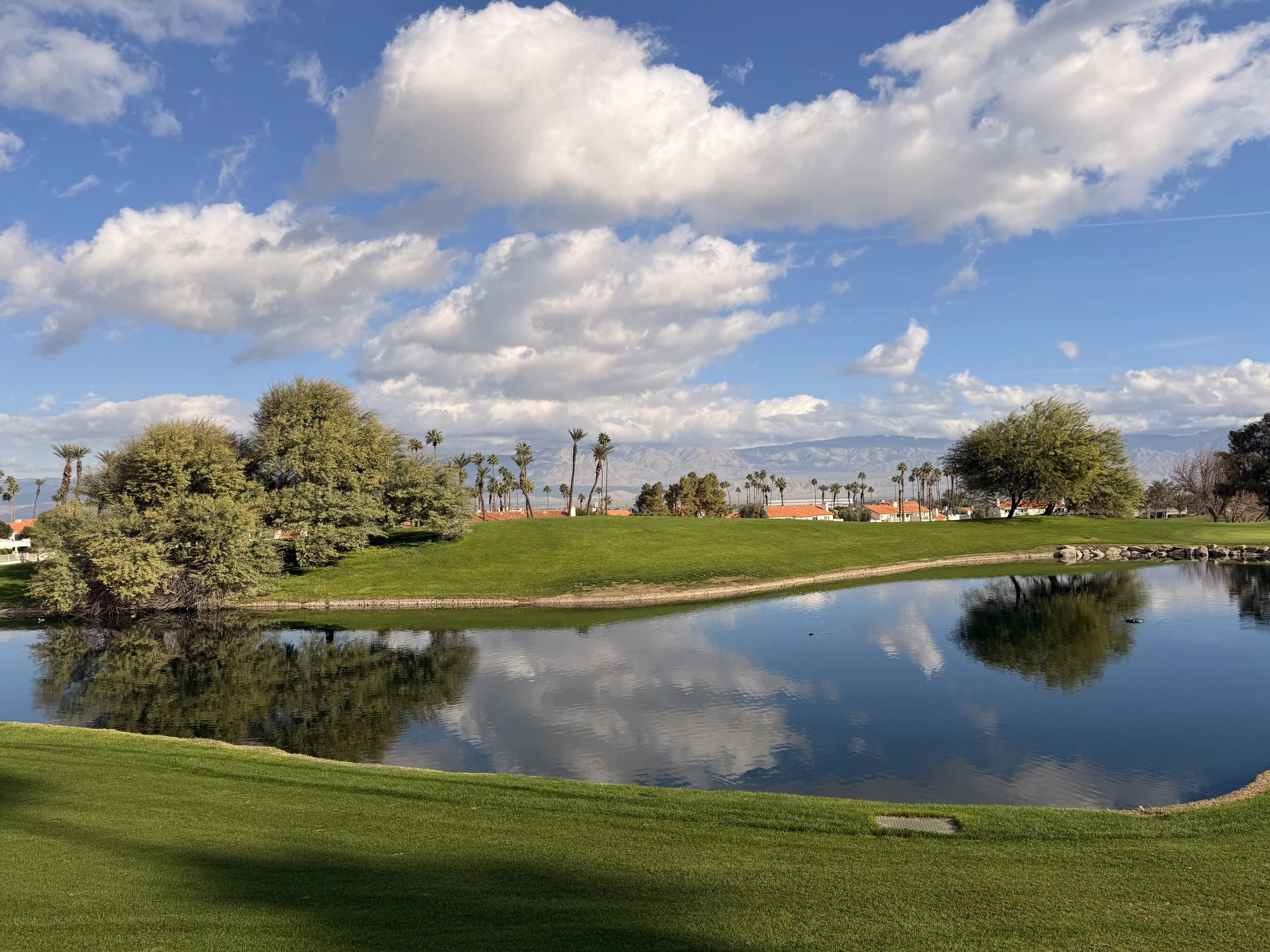 A landscape with a lake, green grass, trees, and palm trees in the background under a blue sky with scattered white clouds.