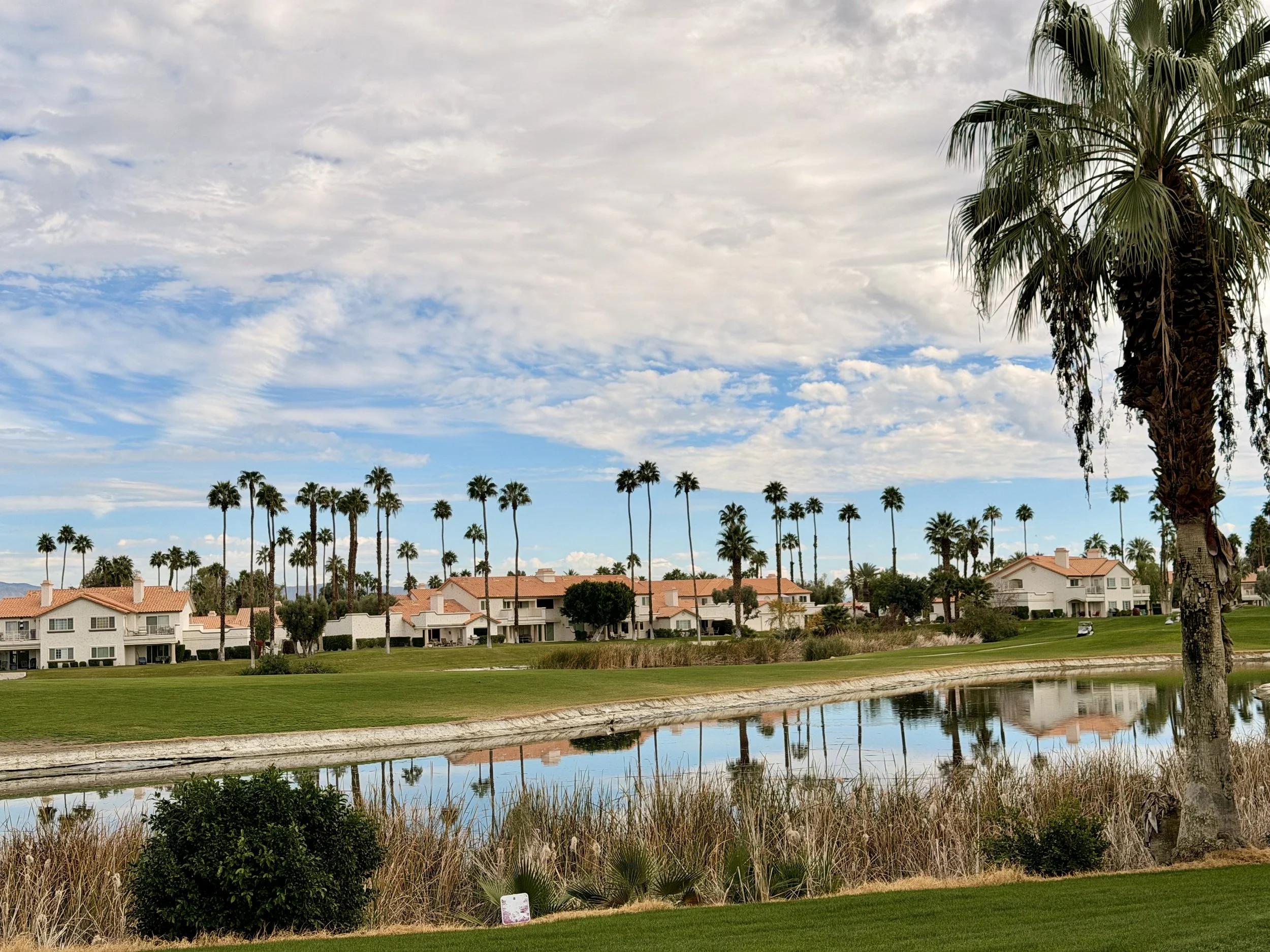 A scenic view of a residential area with white houses with red-tiled roofs, tall palm trees, a grassy area, a water canal, and a partly cloudy sky.