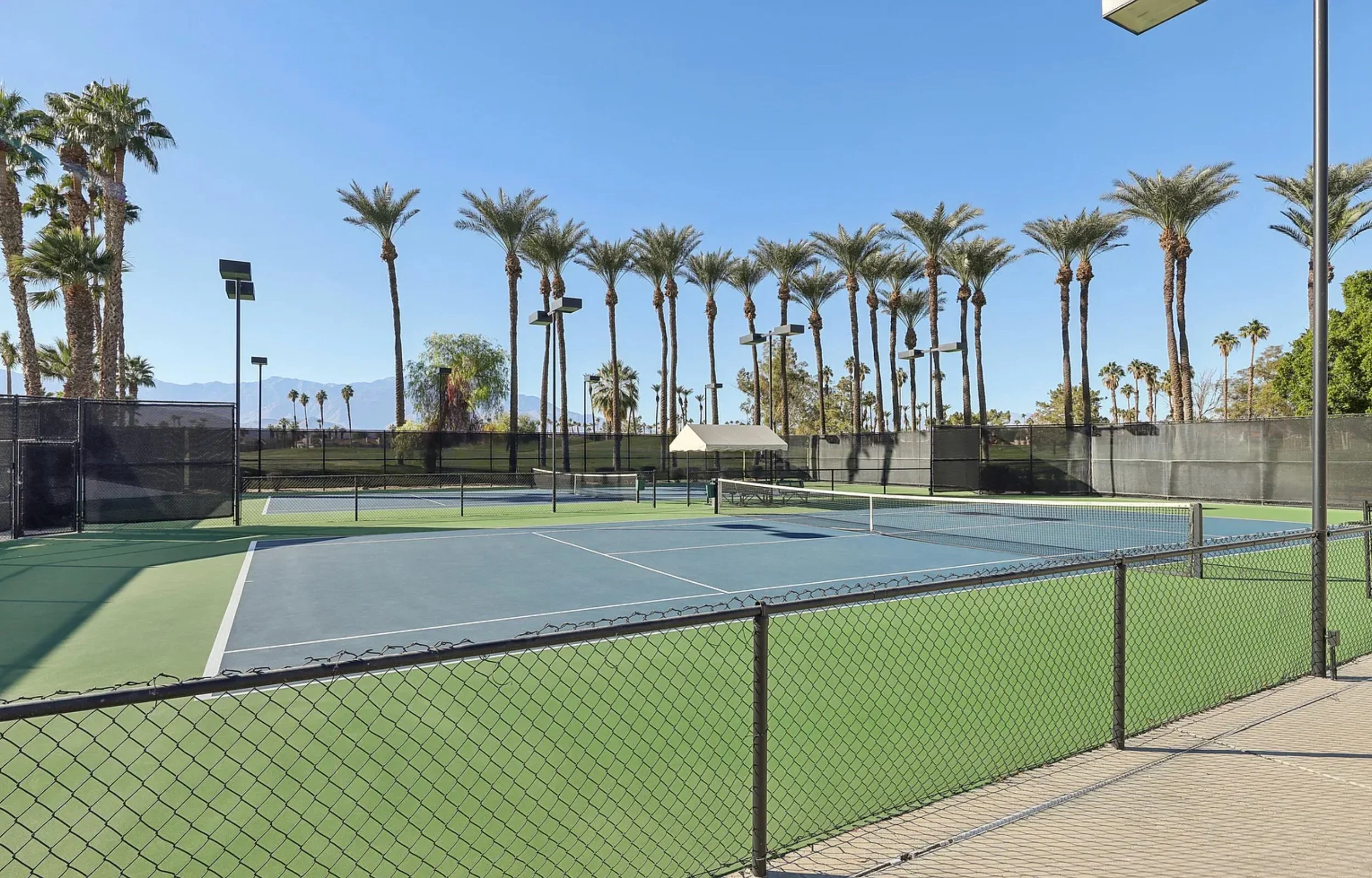 7 tennis courts, 8 pickle ball courts