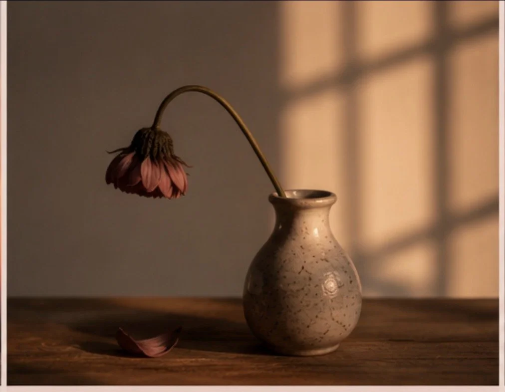 A withered pink flower in a speckled ceramic vase on a wooden table with a petal fallen nearby. Soft sunlight casts shadows from window panes.