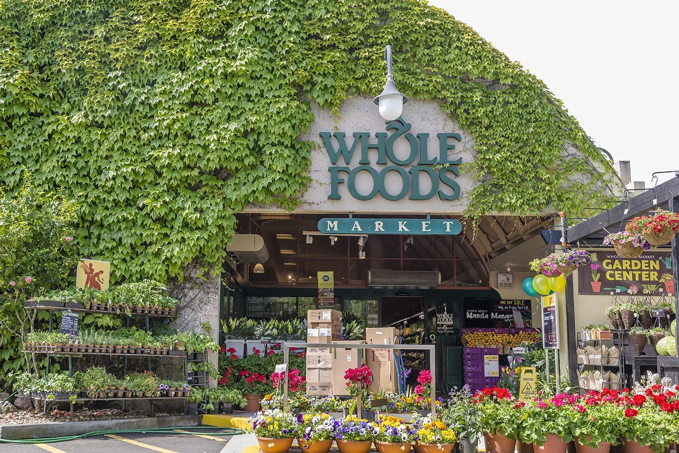 Entrance of a Whole Foods Market with an ivy-covered facade and flower displays in front.