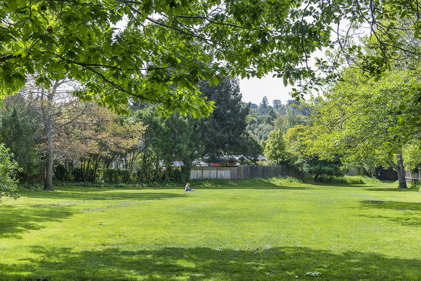 A person sitting on the grass in a park surrounded by trees and a wooden fence, with hills and trees in the background.