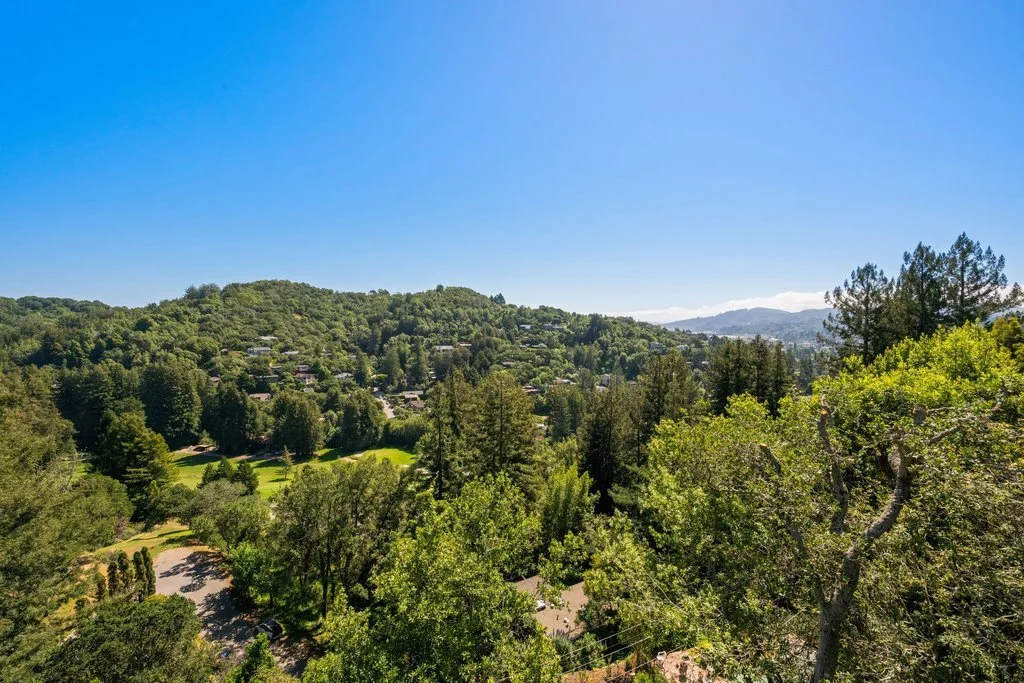 A scenic view of a lush, green hillside neighborhood with trees and houses under a clear blue sky.