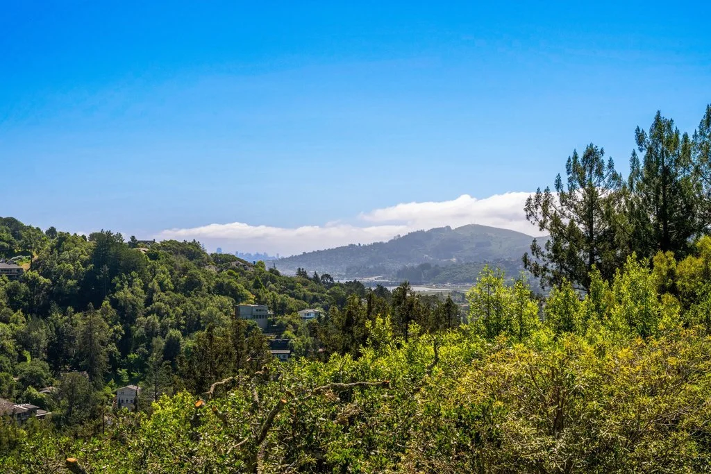 Landscape view of green hills covered with trees and houses, with distant mountains and a blue sky with some clouds.