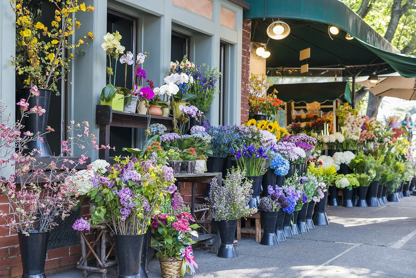 Street scene with flower shop displaying colorful flowers and plants in pots on sidewalk and under green awning.
