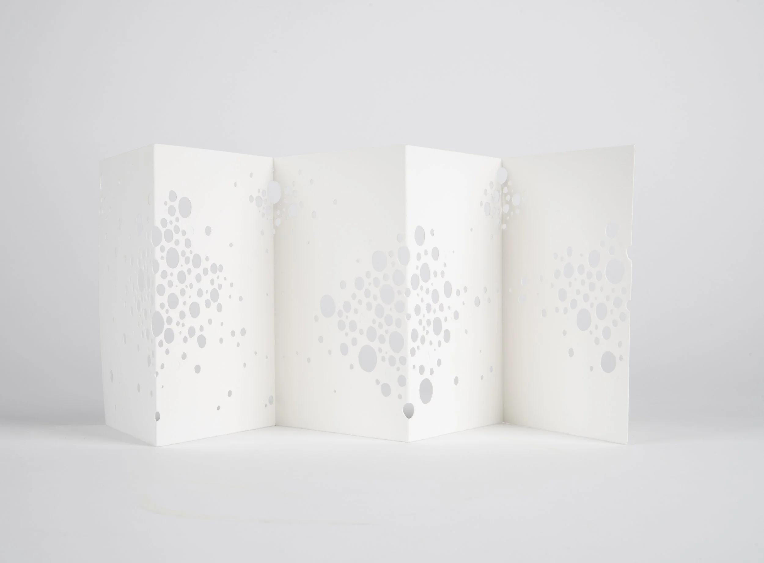 Gianna Friedl_lg-112524-6.jpg