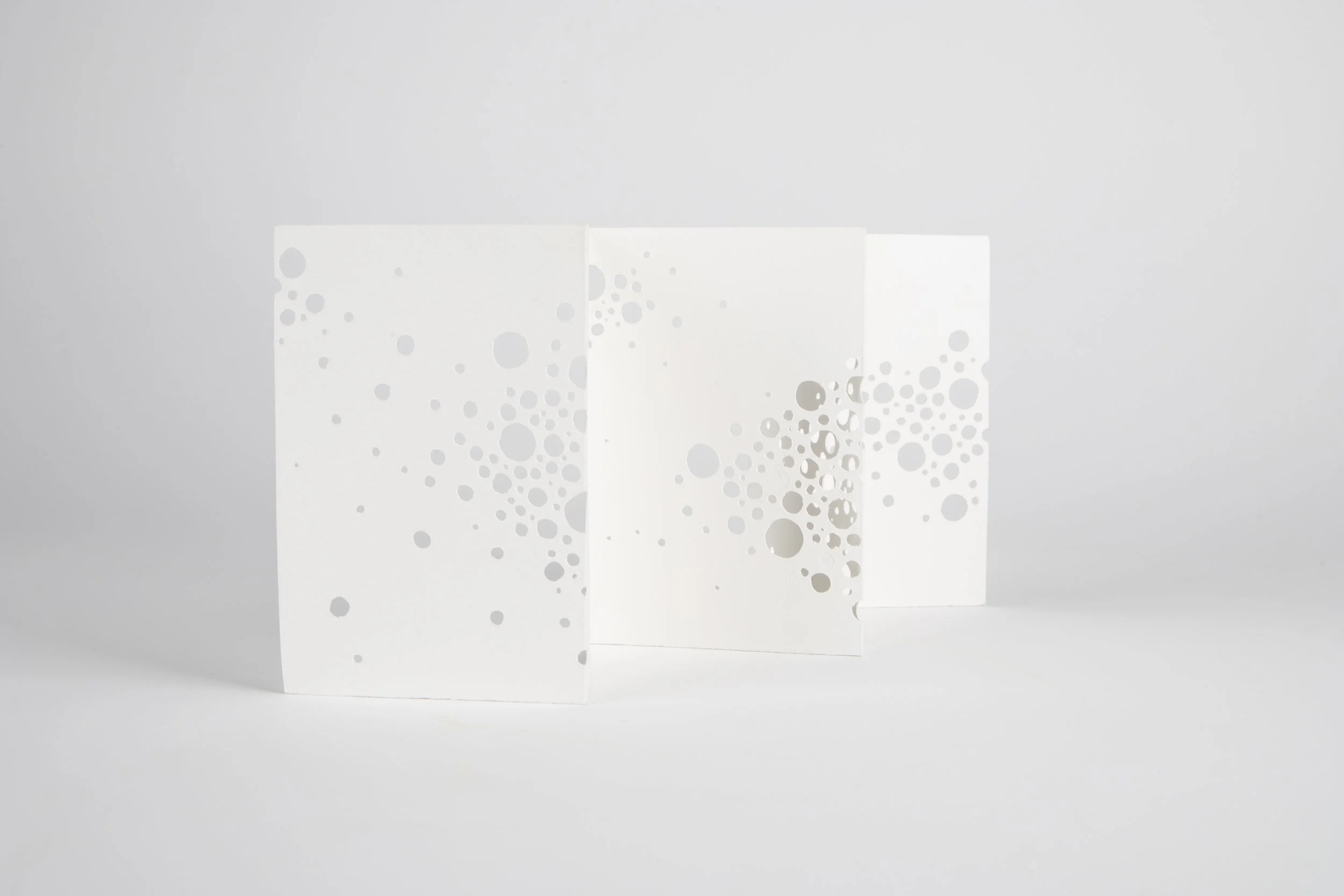 Gianna Friedl_lg-112524-5.jpg