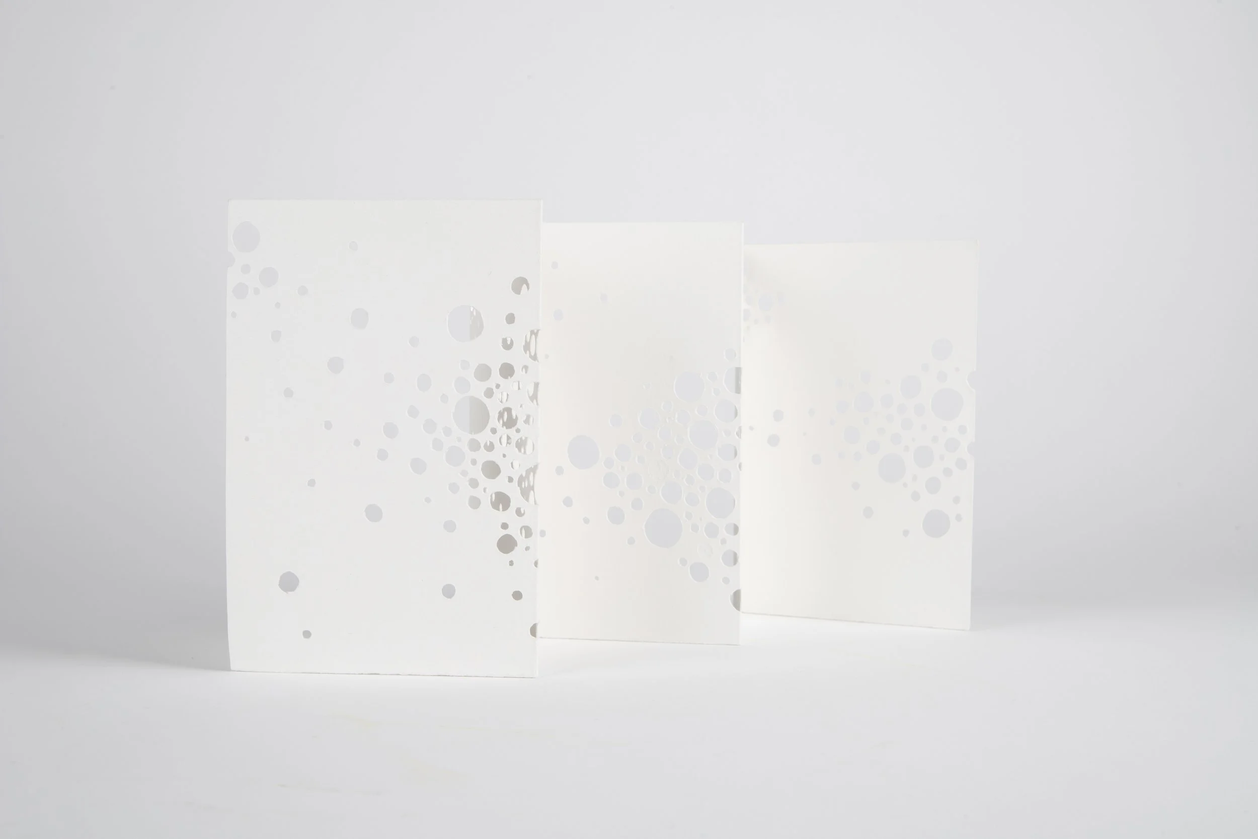 Gianna Friedl_lg-112524-2.jpg