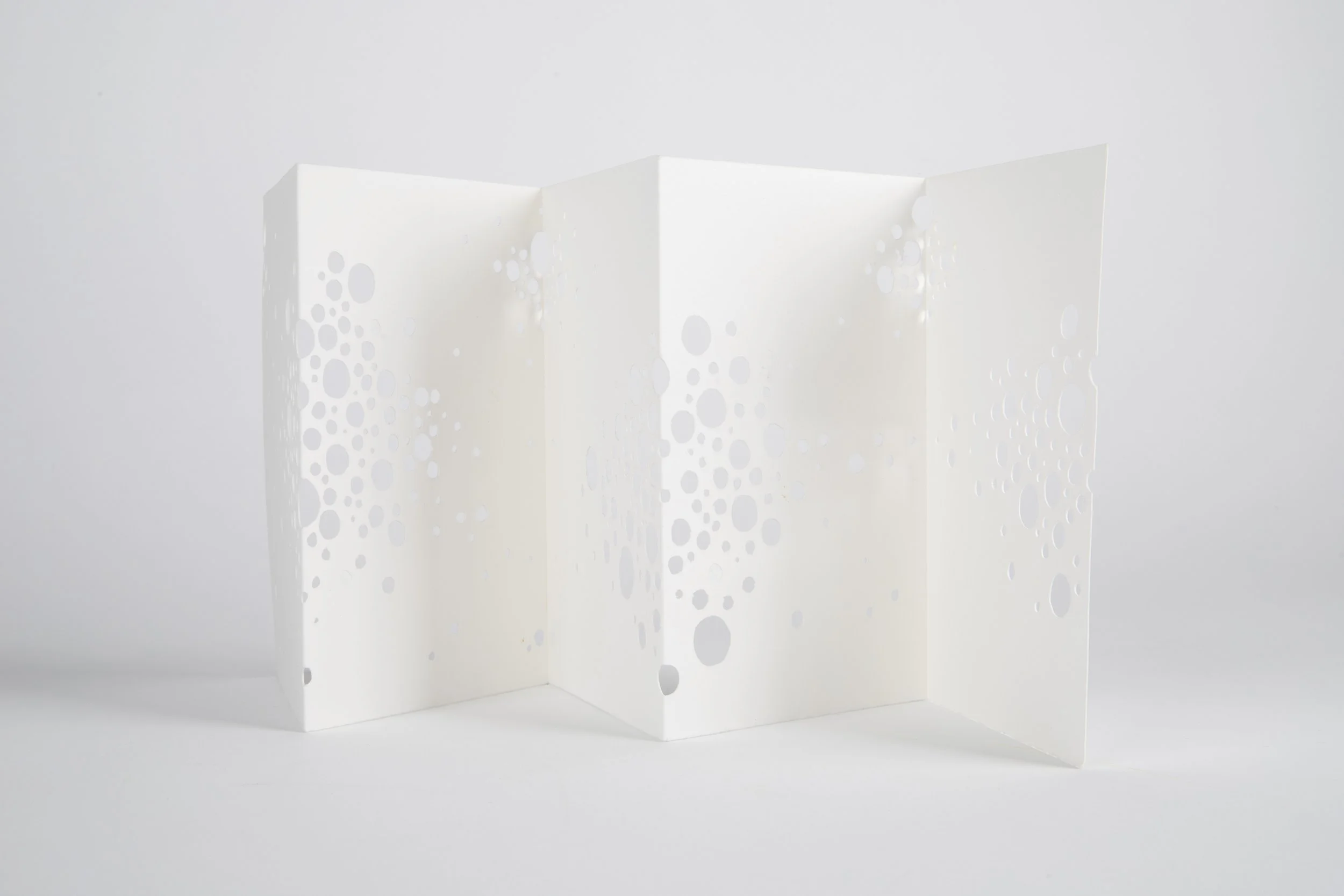 Gianna Friedl_lg-112524-3.jpg