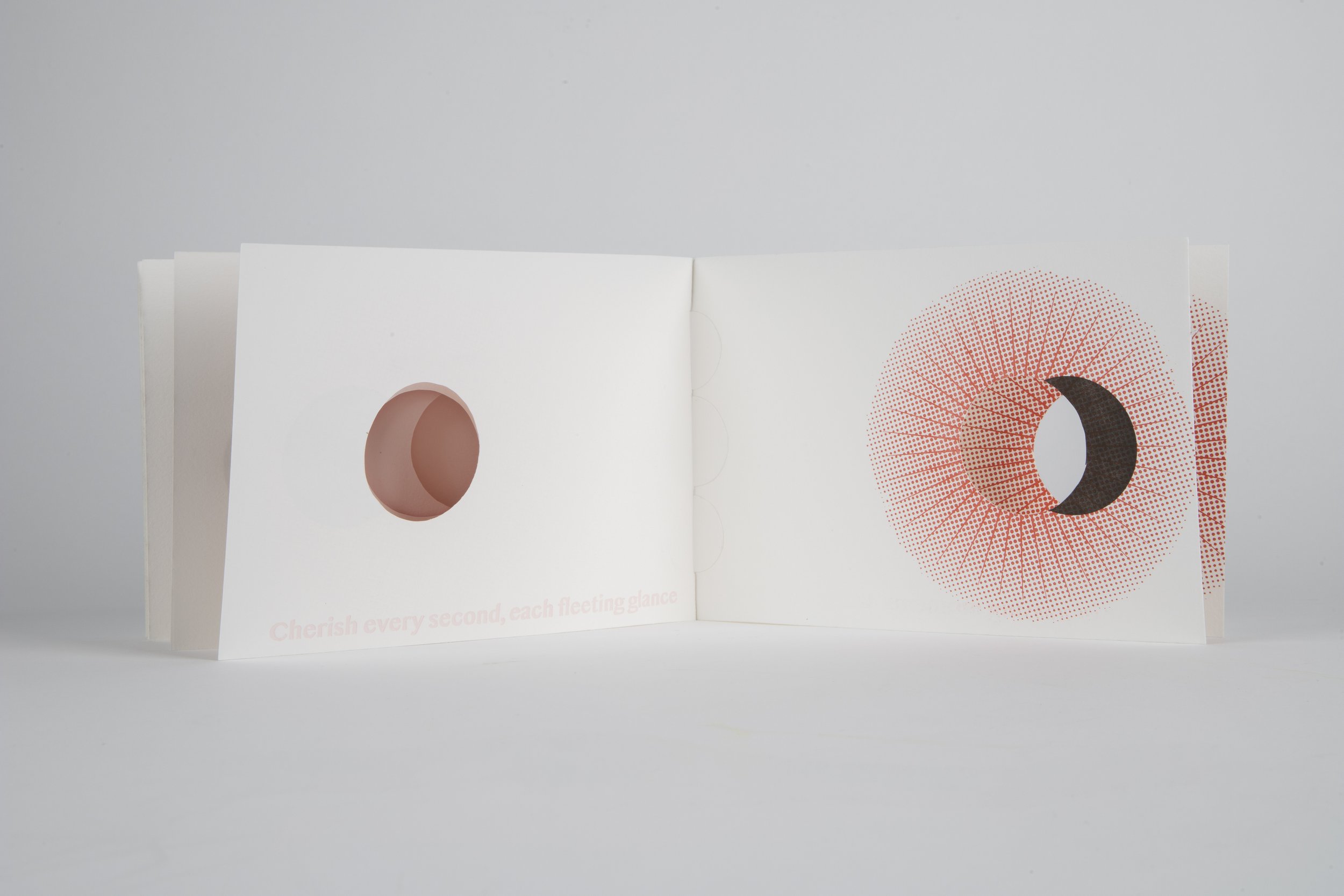 Gianna Friedl_lg-112524-13.jpg