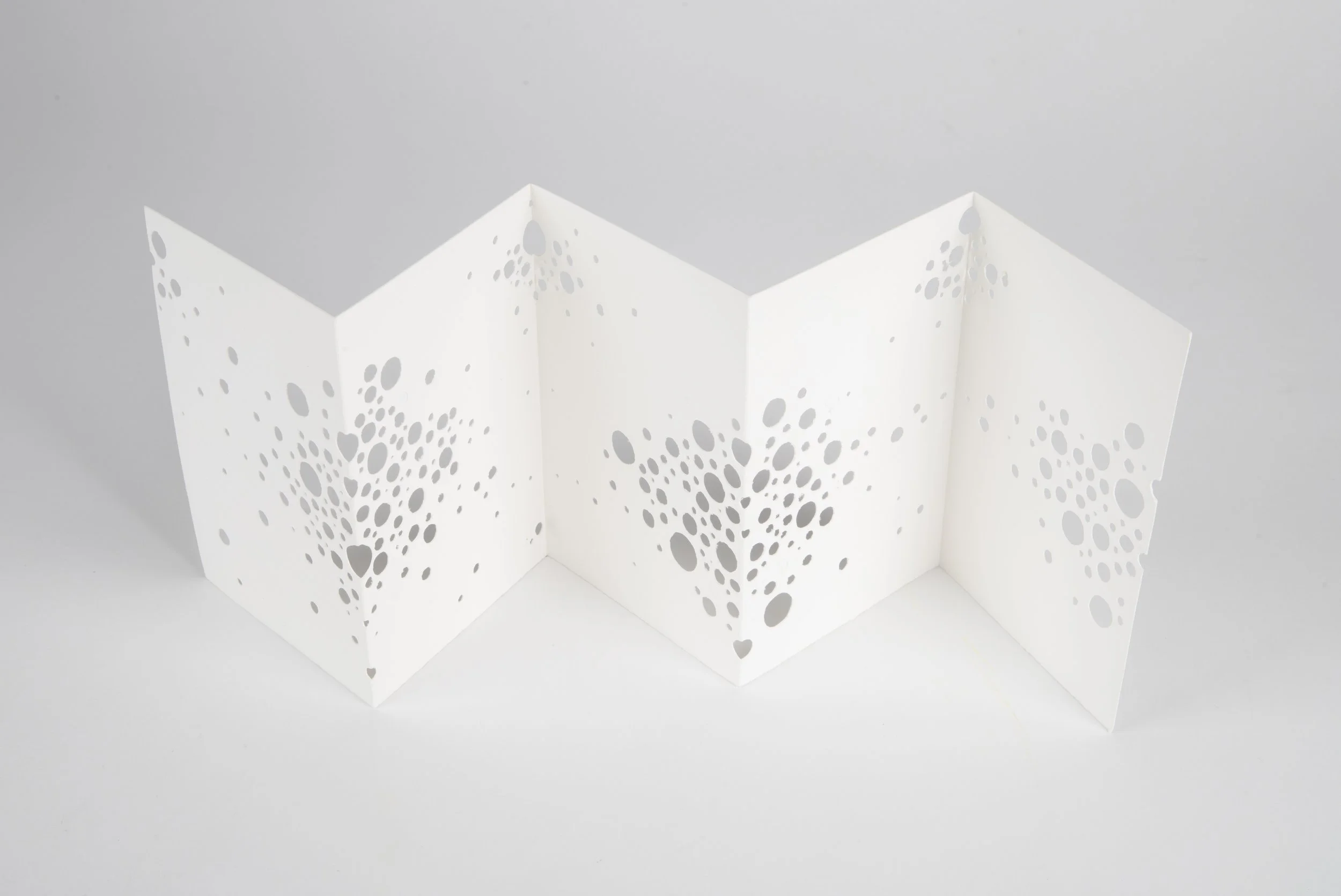 Gianna Friedl_lg-112524-4.jpg