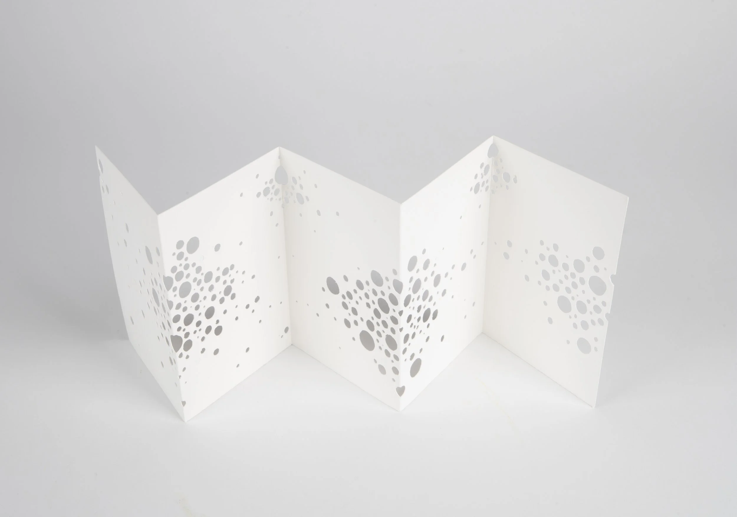 Gianna Friedl_lg-112524-7.jpg