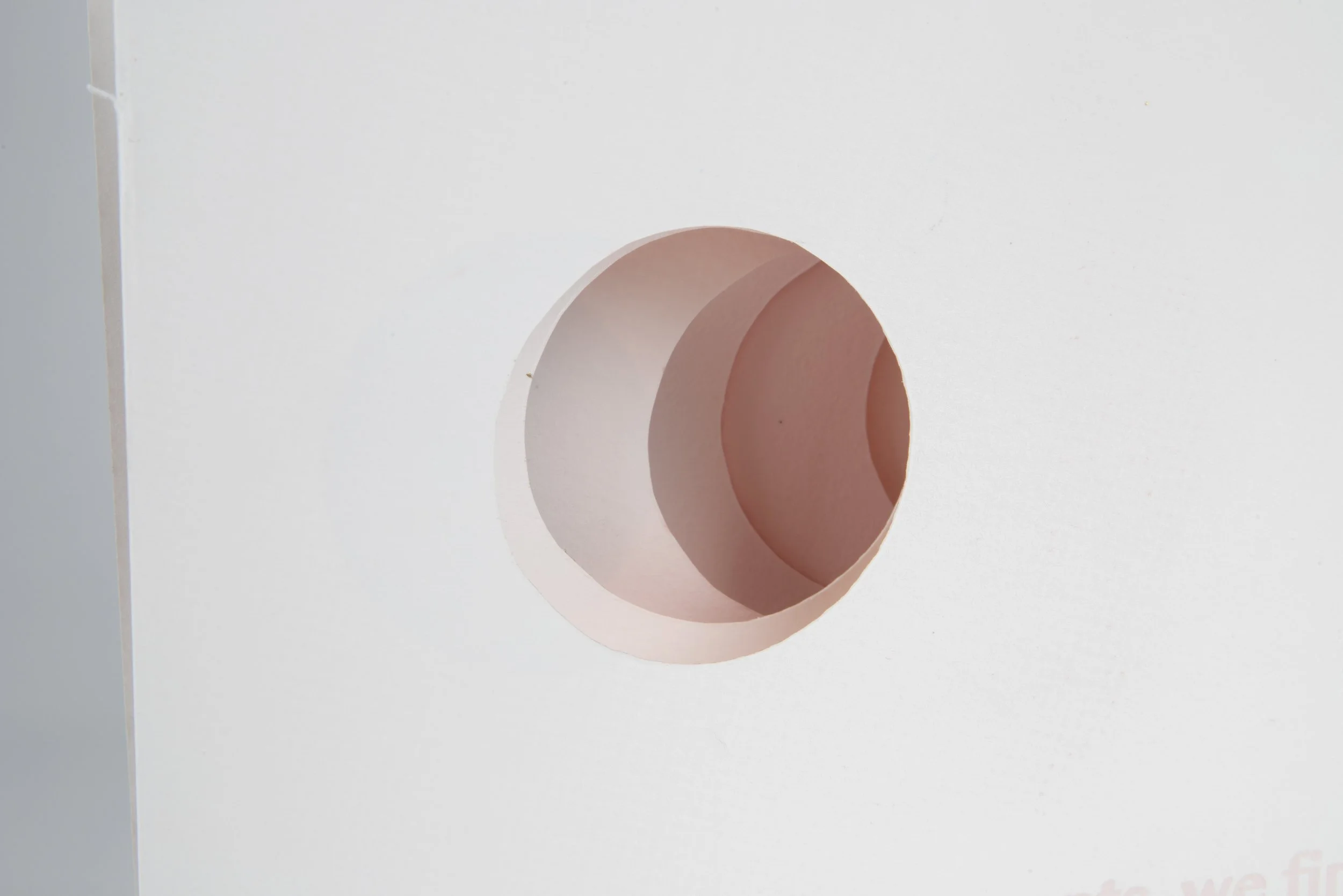 Gianna Friedl_lg-112524-15.jpg