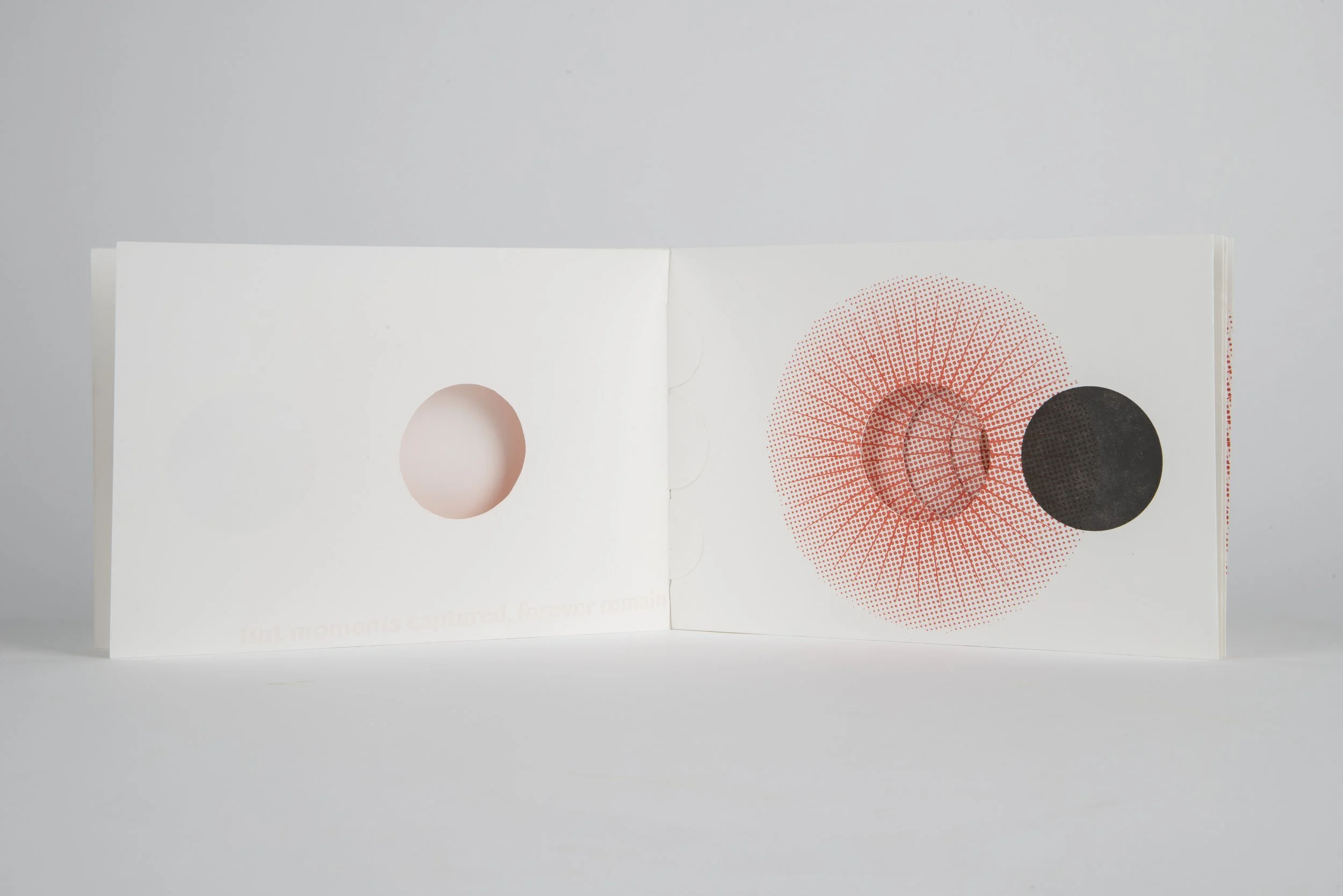 Gianna Friedl_lg-112524-10.jpg