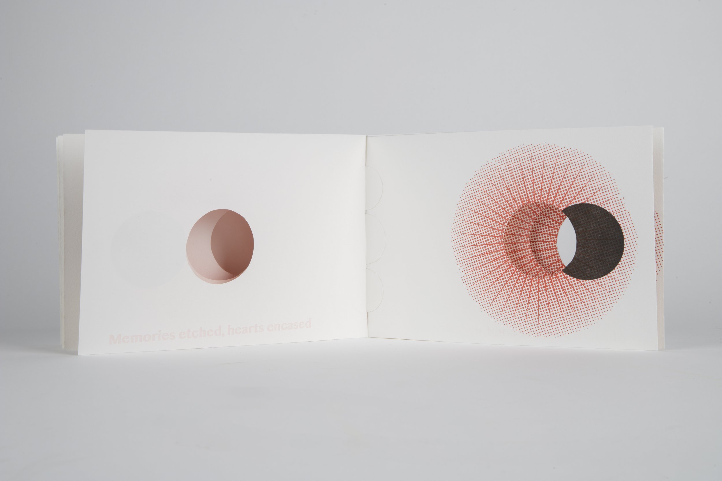 Gianna Friedl_lg-112524-12.jpg