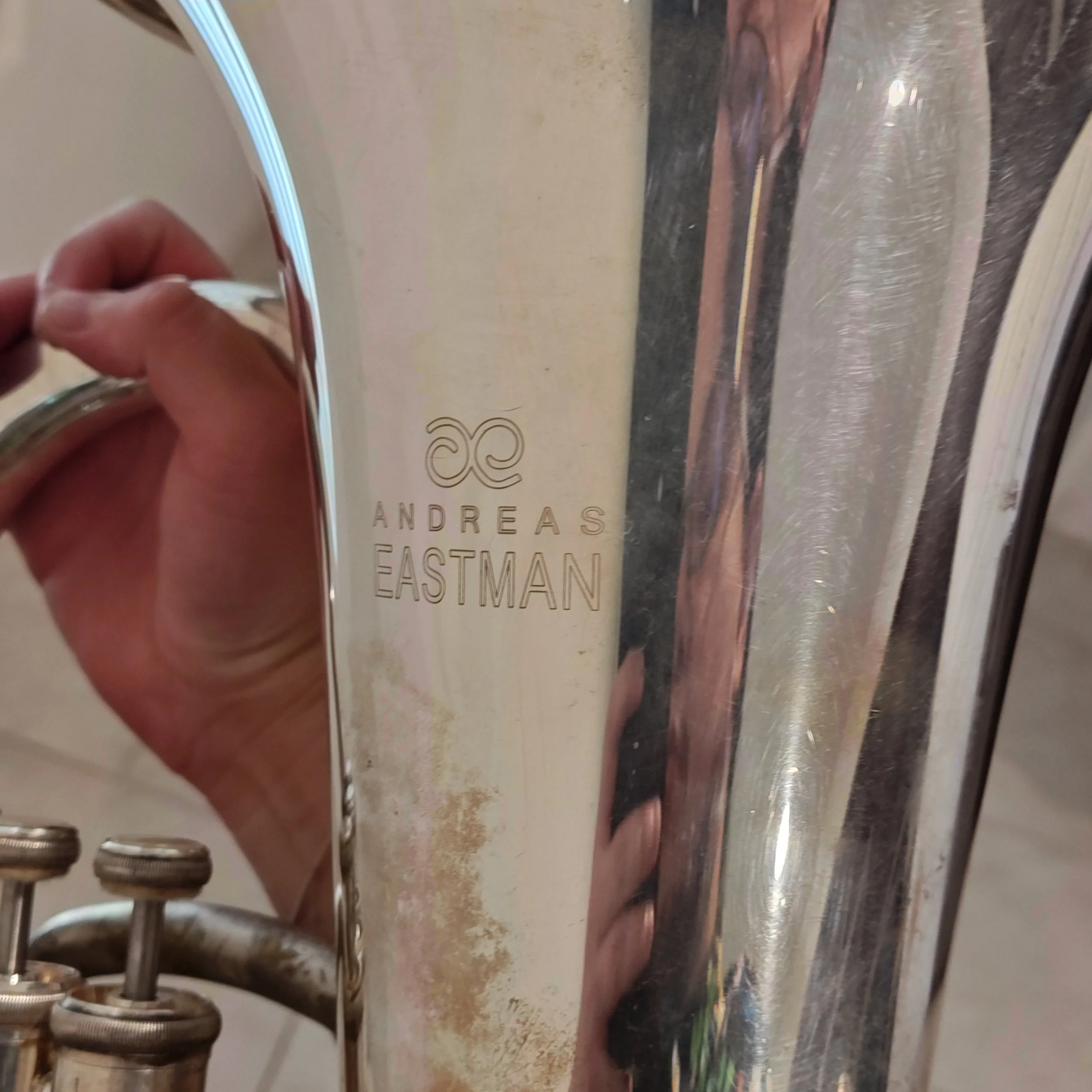 1000003135.jpg