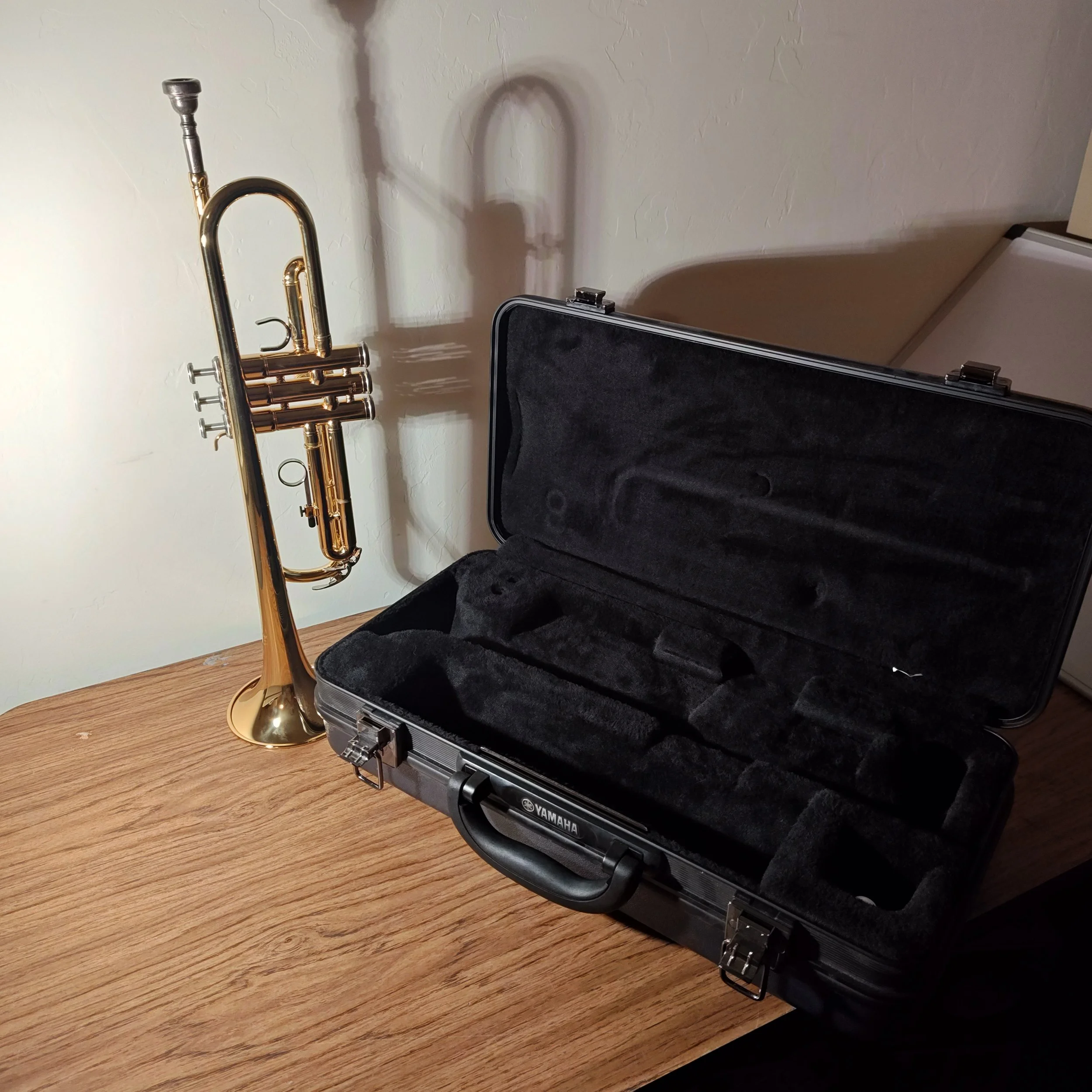 Used Trumpet: YTR-200ADII