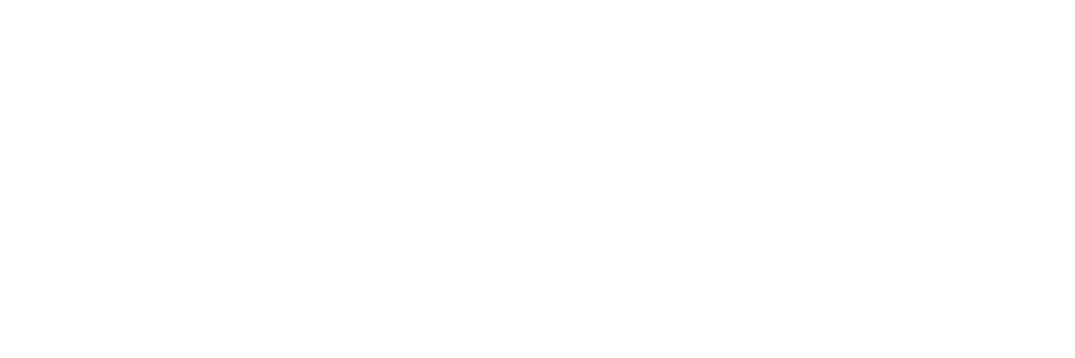 Plousios Group