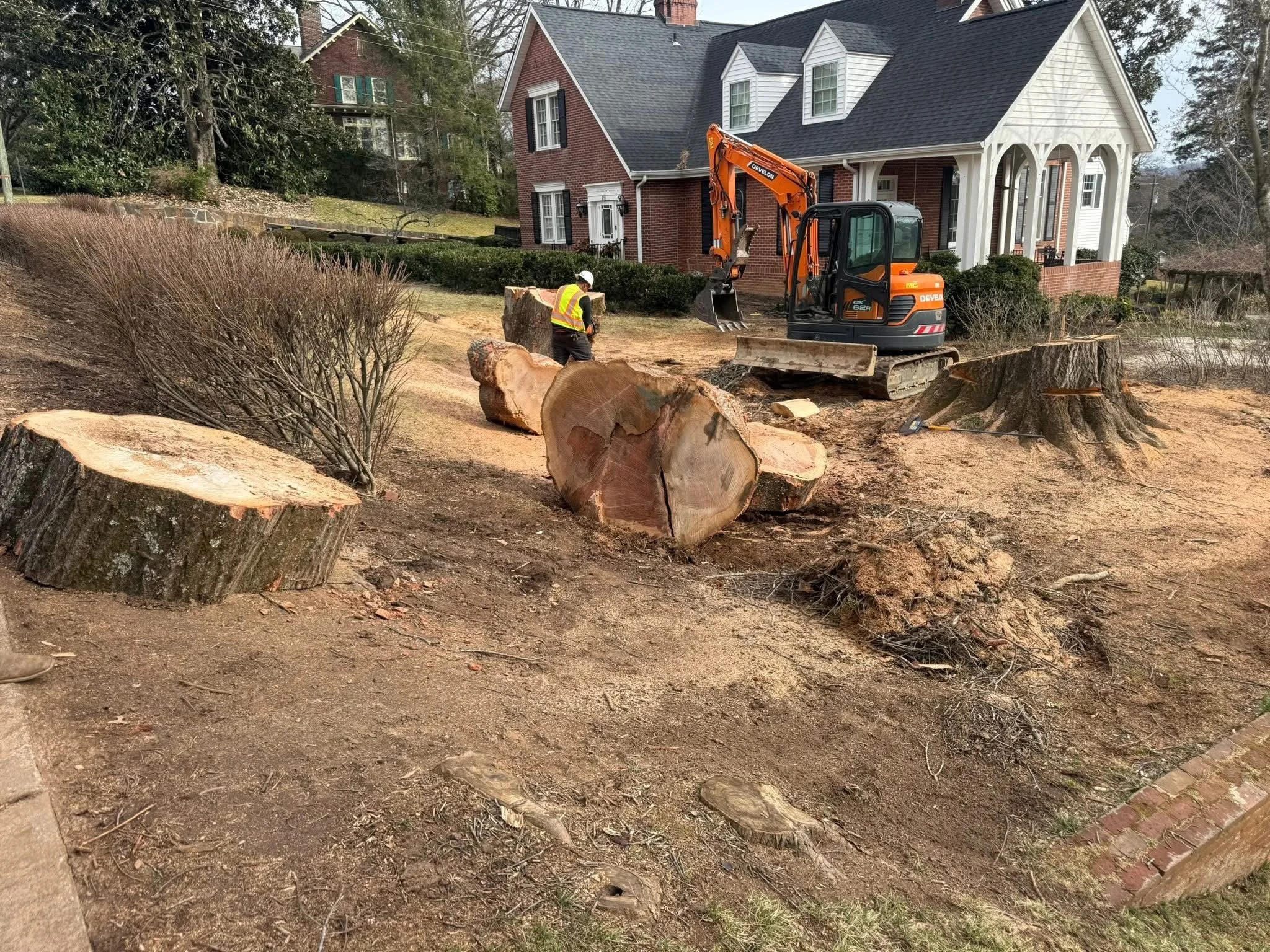 Tree Removal