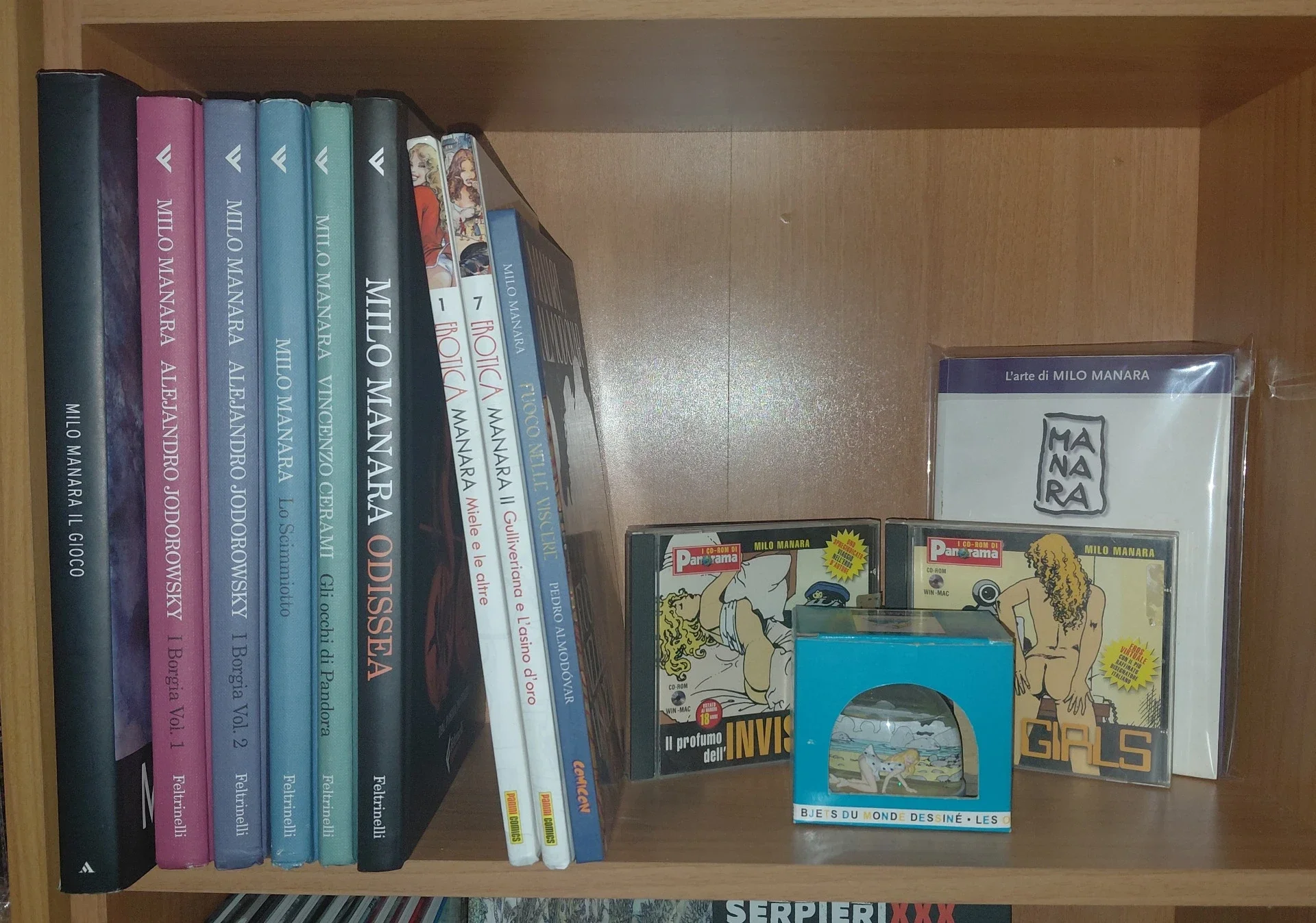 Una libreria con vari libri di Milo Manara, alcuni CD, e un piccolo quadro con un dipinto di un cavallo, tutto sistemato su una mensola di legno.