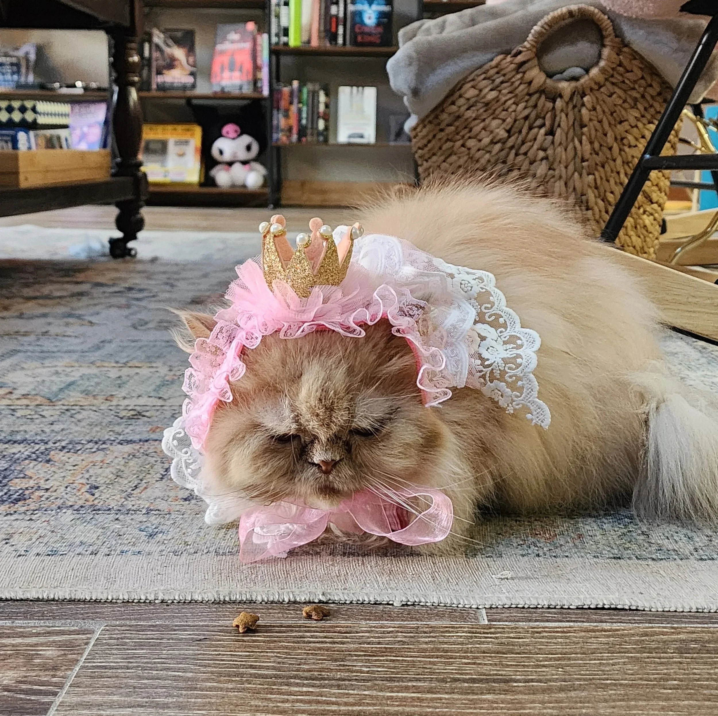 A cat lying on the floor wearing a decorative pink lace dress with a gold crown headband, with a bookshelf in the background.