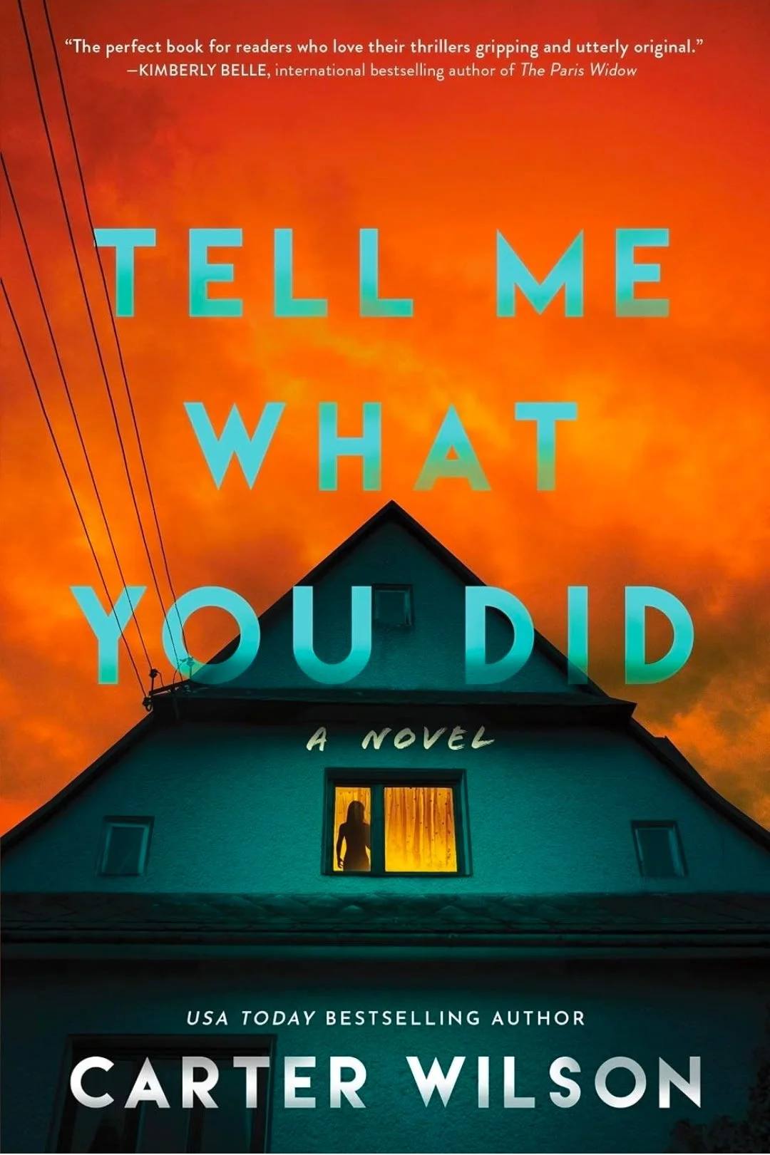 Tell Me What You Did~Paperback Edition by Carter Wilson