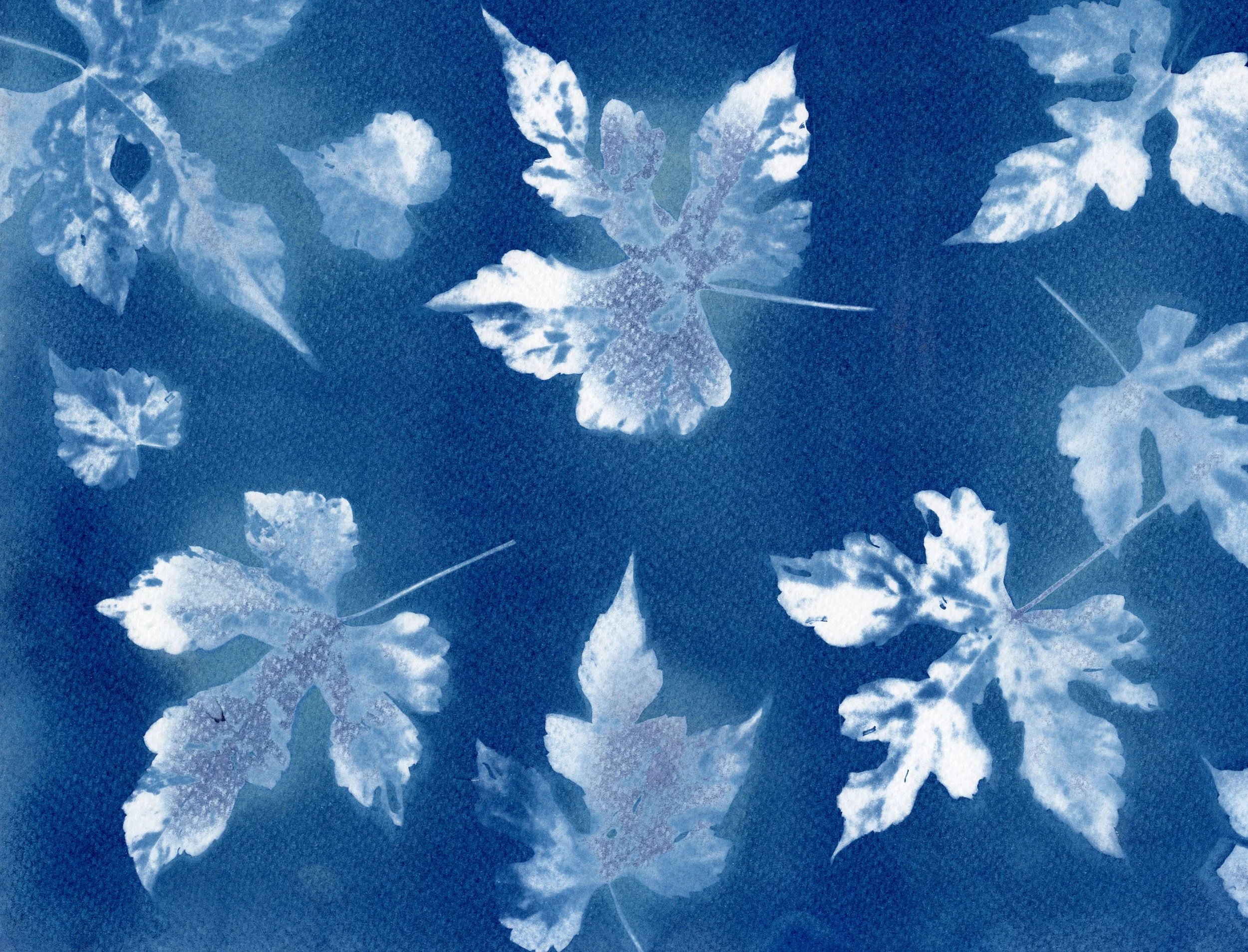 Alternative Processes