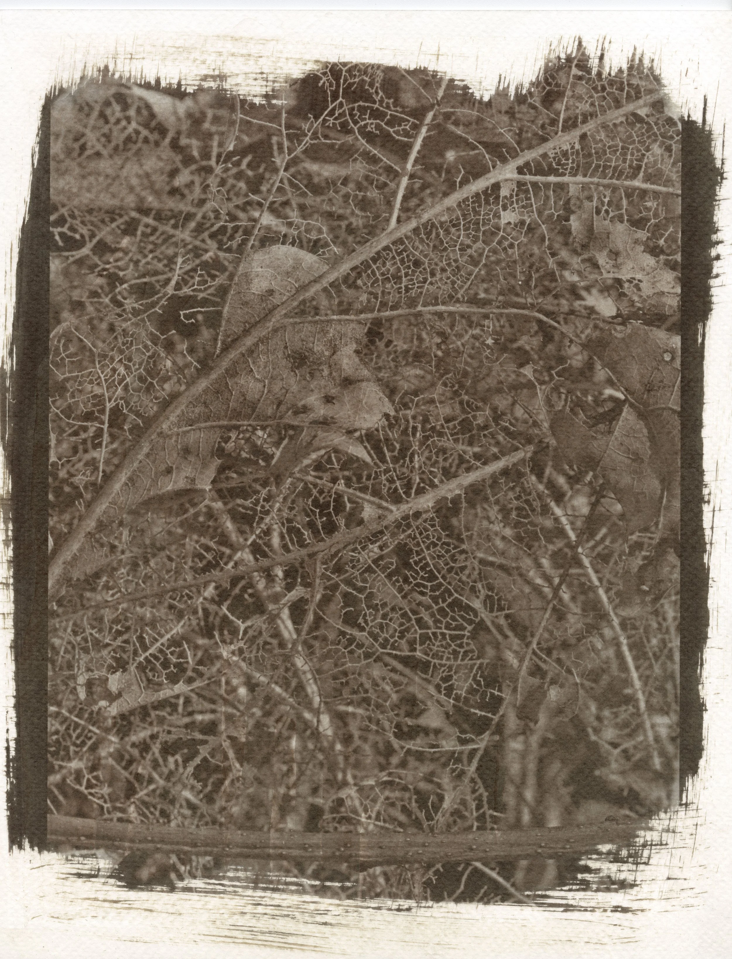 resize1.jpg