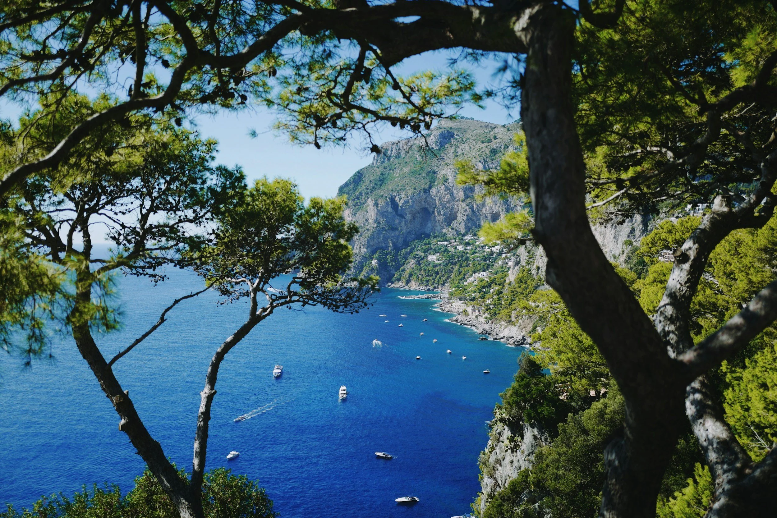 A serene image of the Amalfi coast in Italy, looking through the trees to the blue sea, symbolising the start of a journey.  How a customer journey should begin, feeling calm, happy and ready for the journey.