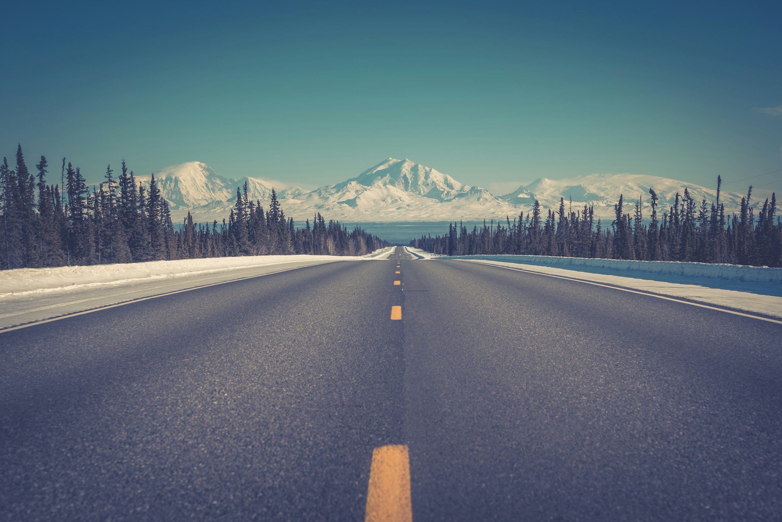 Image of a long empty road with trees to either side and mountains in the distance, symbolising the journey you need to take to get to your project goal.