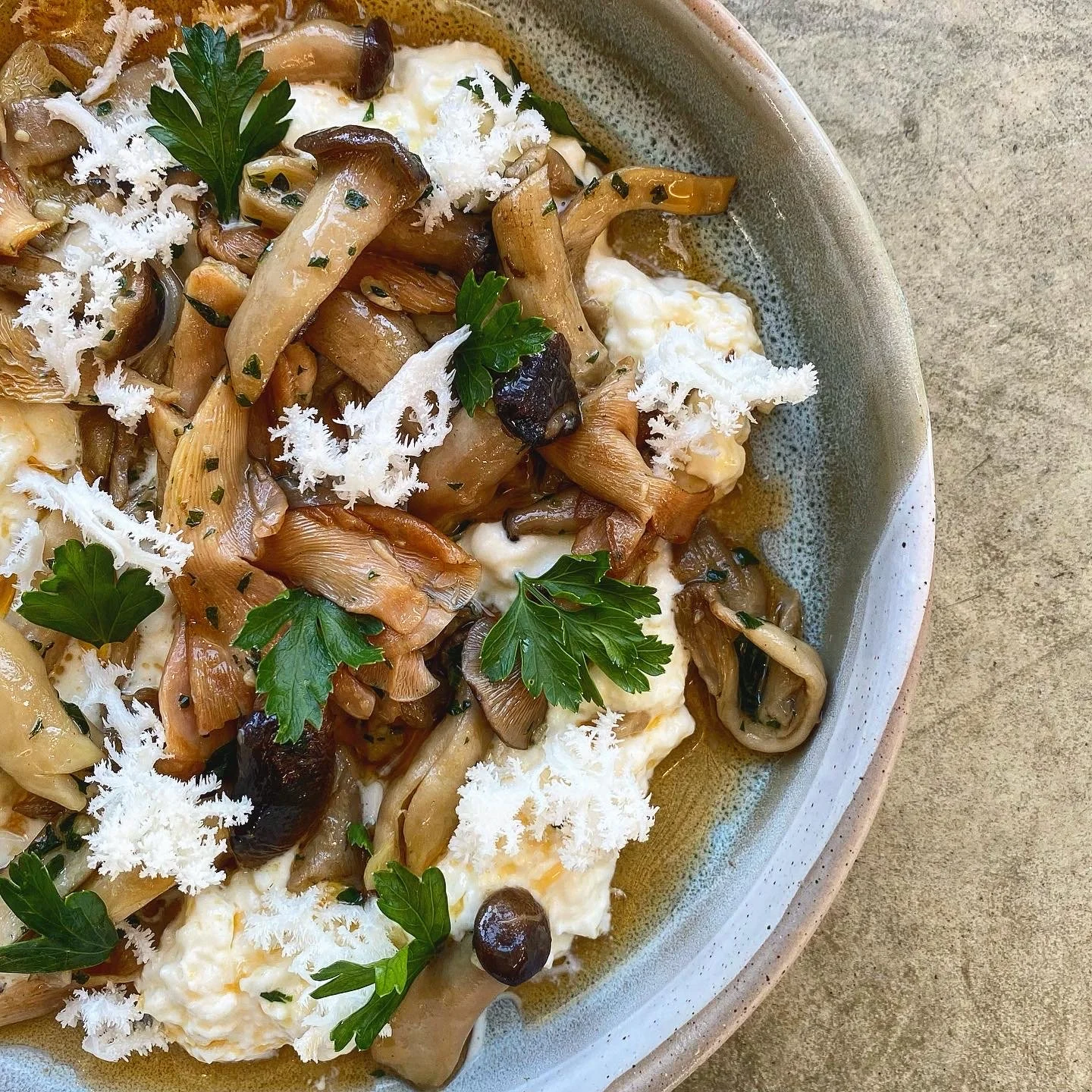 Stracciatella cheese with mushrooms trifolati, chilli oil and coral tooth mushroom