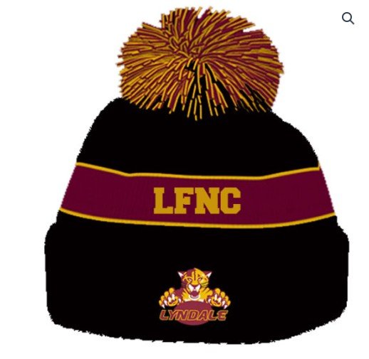 Lyndale Pumas Beanie