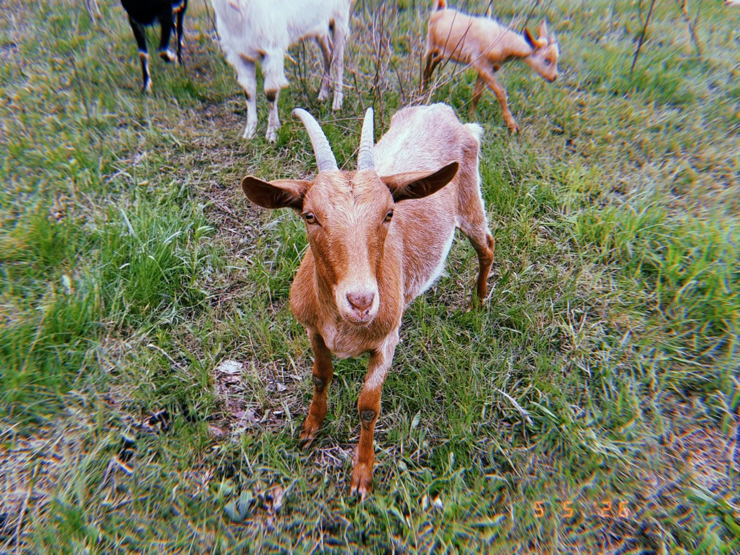 20260505_182330_680.JPG