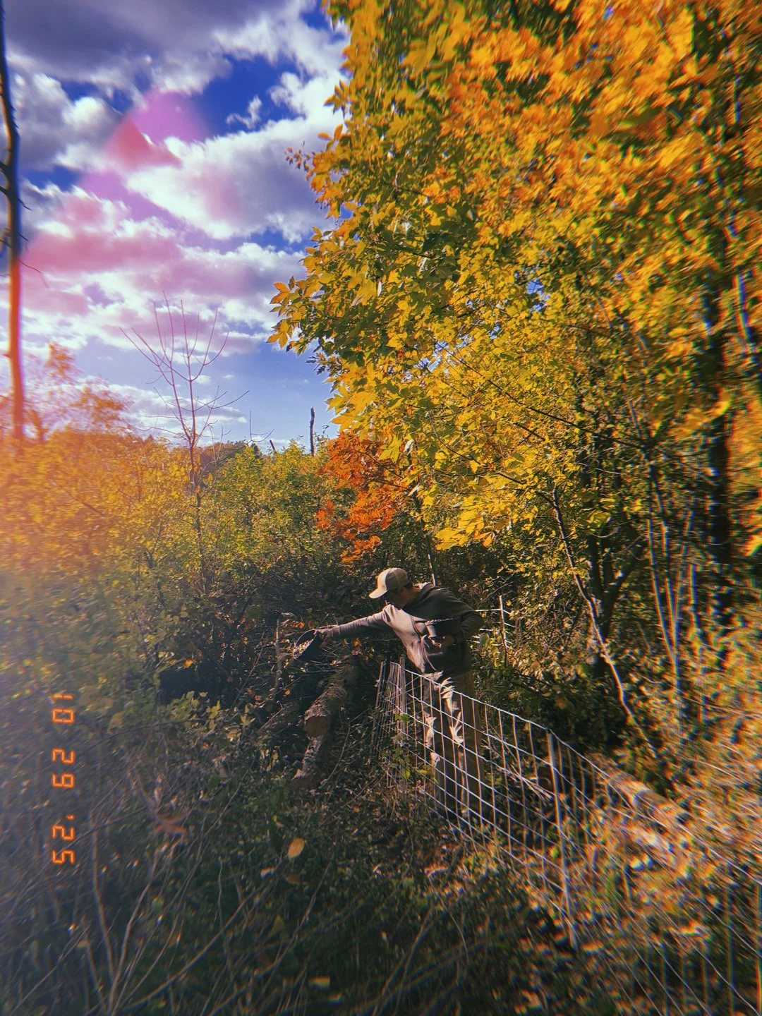 Person wearing a baseball cap and dark hoodie leaning over a fallen tree on a hillside with autumn foliage, a wire fence, and a blue sky with clouds in the background.
