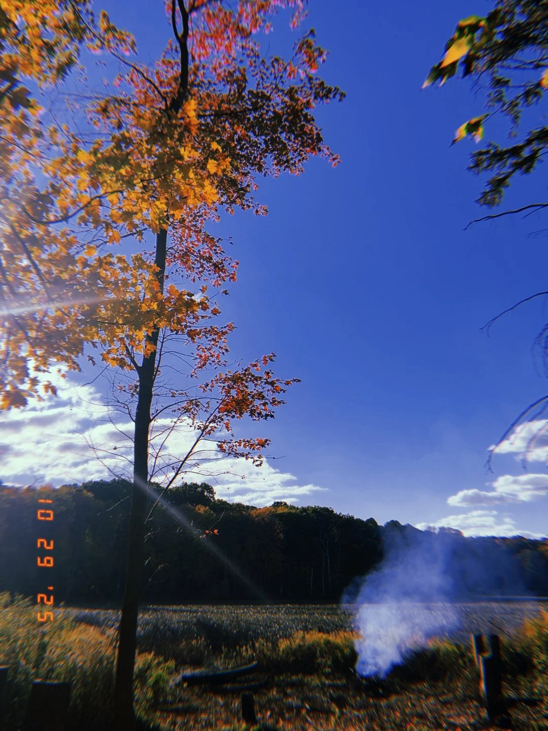Autumn trees with orange and yellow leaves against a bright blue sky, with smoke rising from a small fire in a rural landscape.