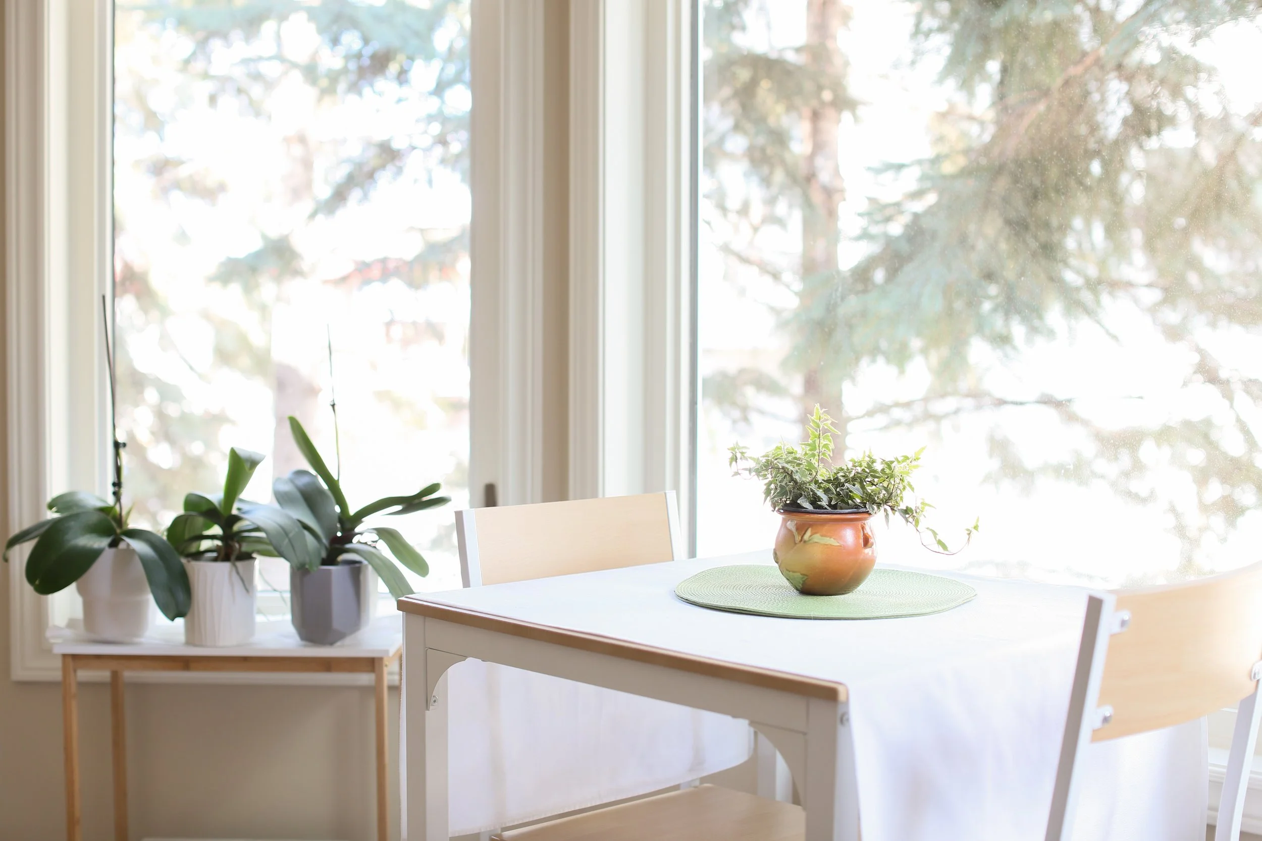 The Home You Actually Want To Come Home To