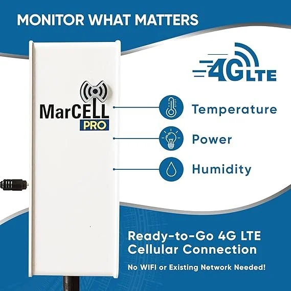 71C+YXYNkTL._AC_SX569_.jpg