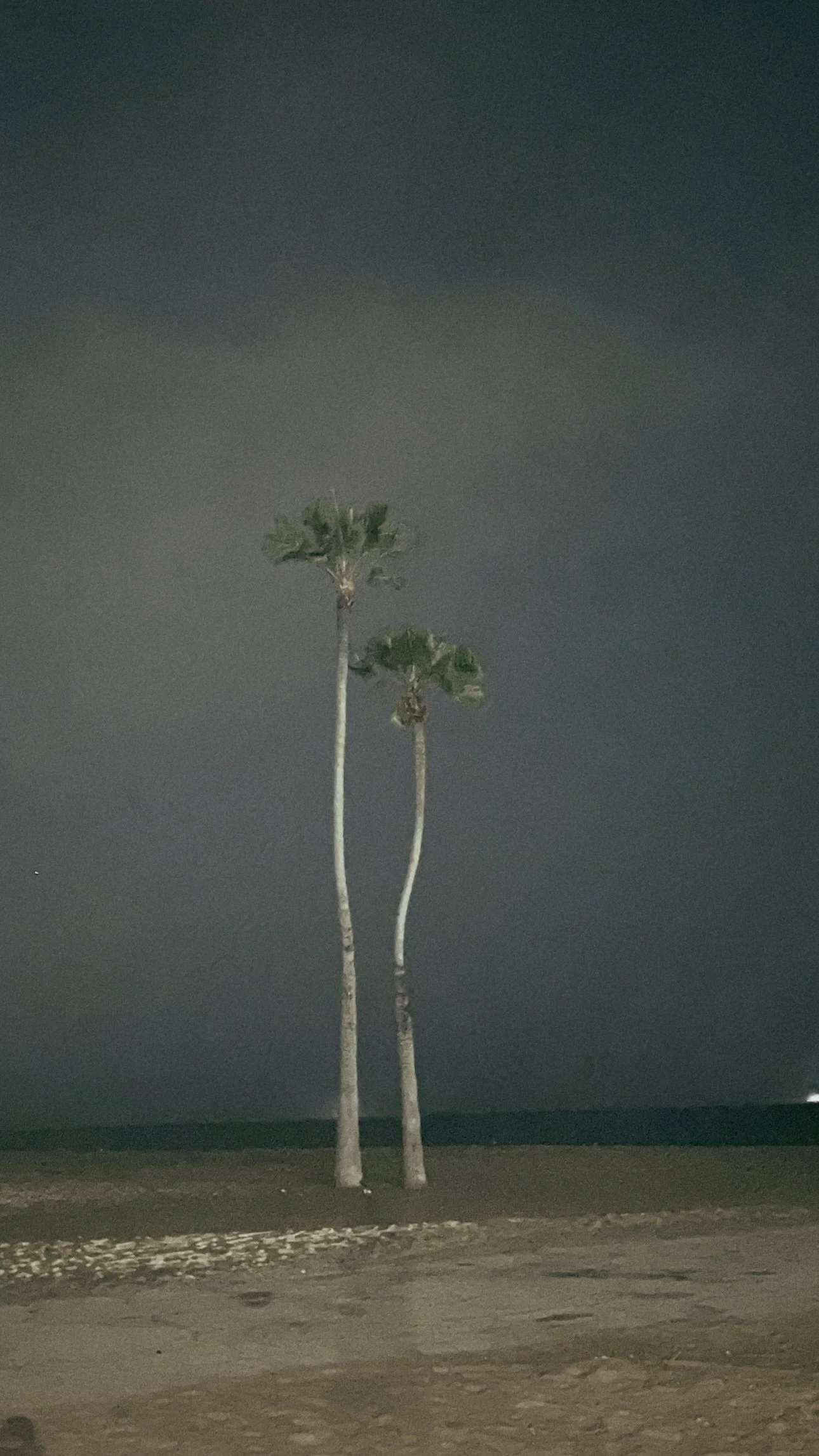 Twin Palms - Dockweiler Beach 